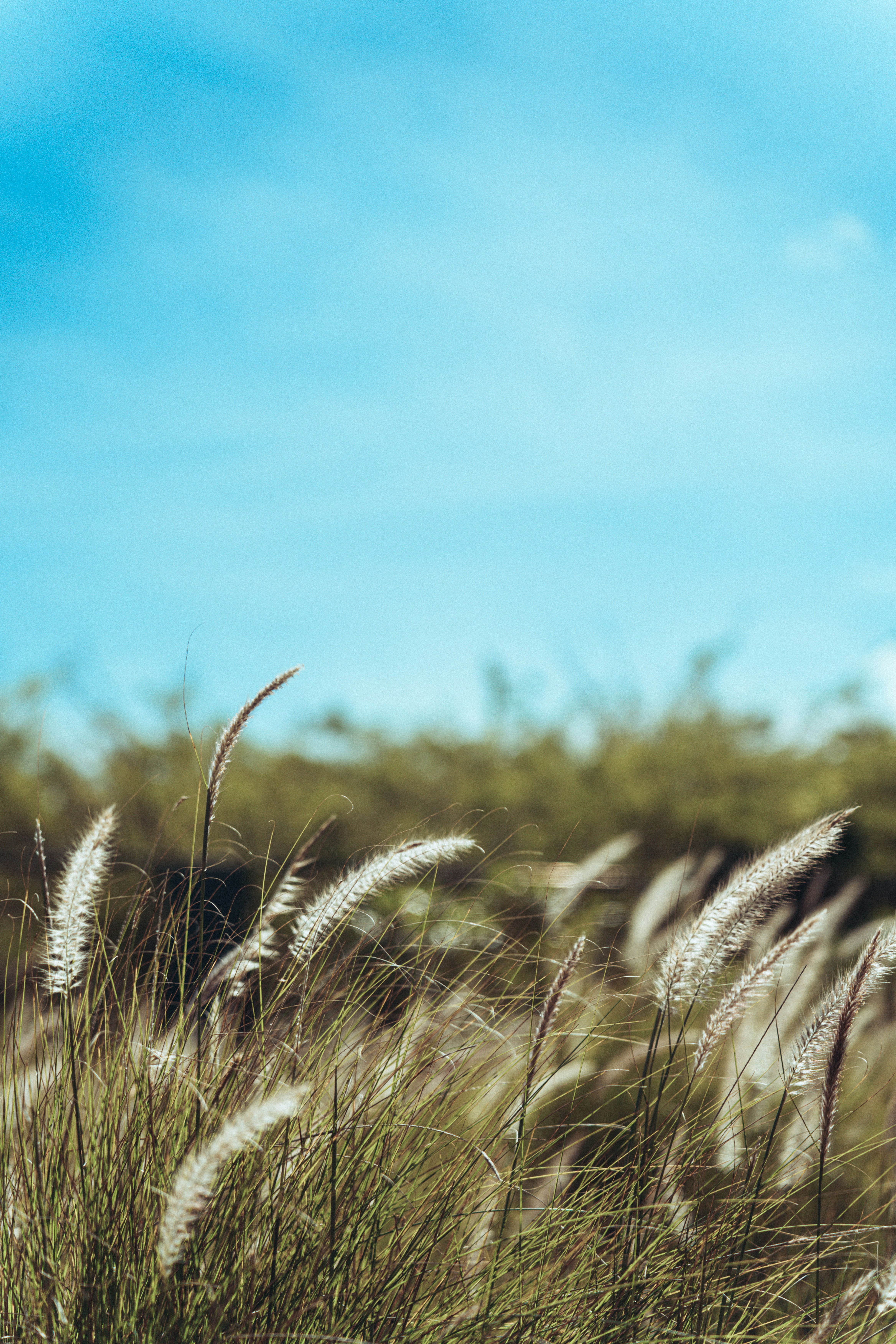 Photo by leonidas718