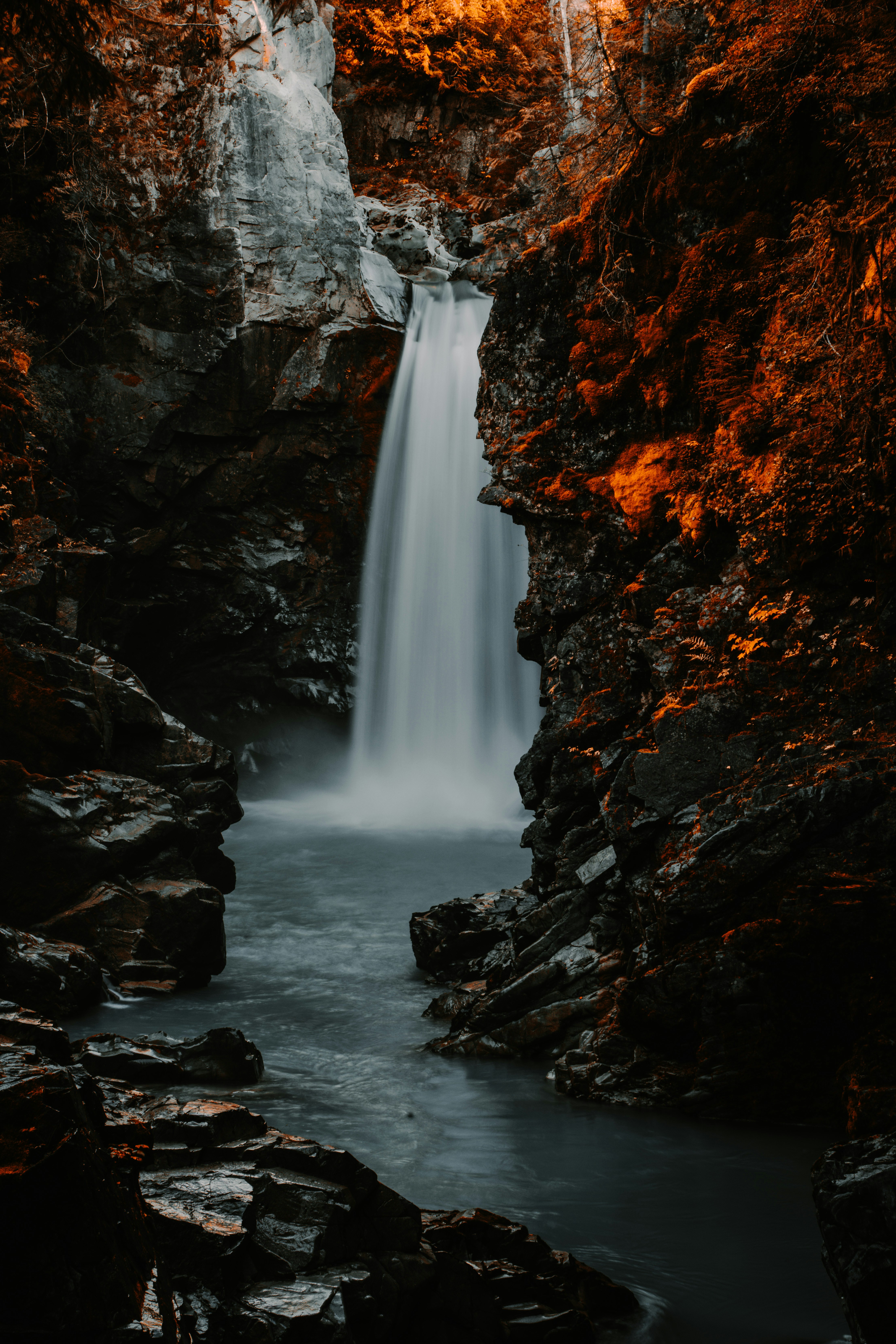 Photo by leonidas718