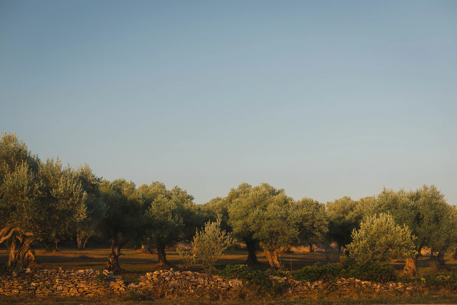 Masseria Donna Menga: A Fortified Farmhouse in the Salento