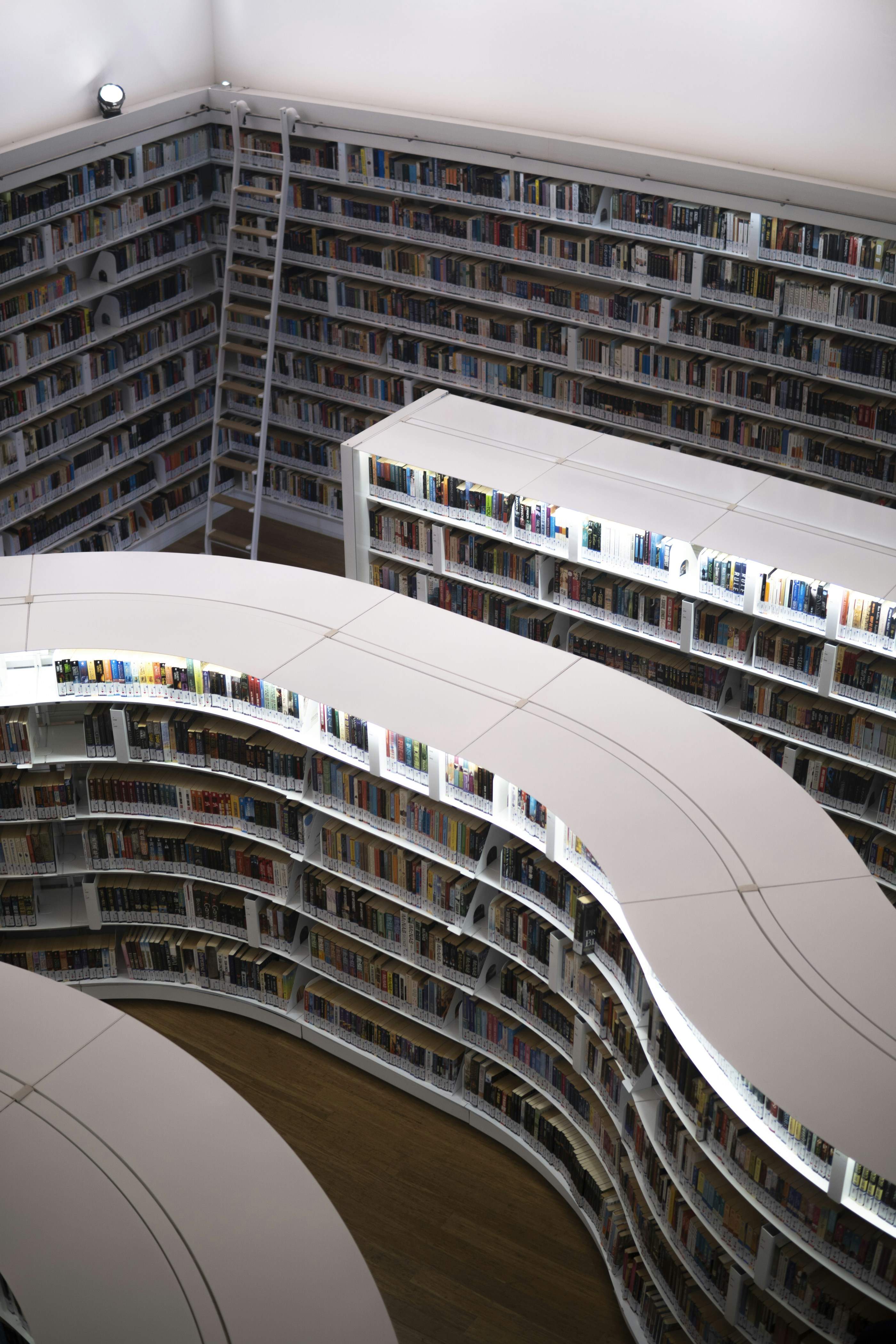 Photo by wiryantirta