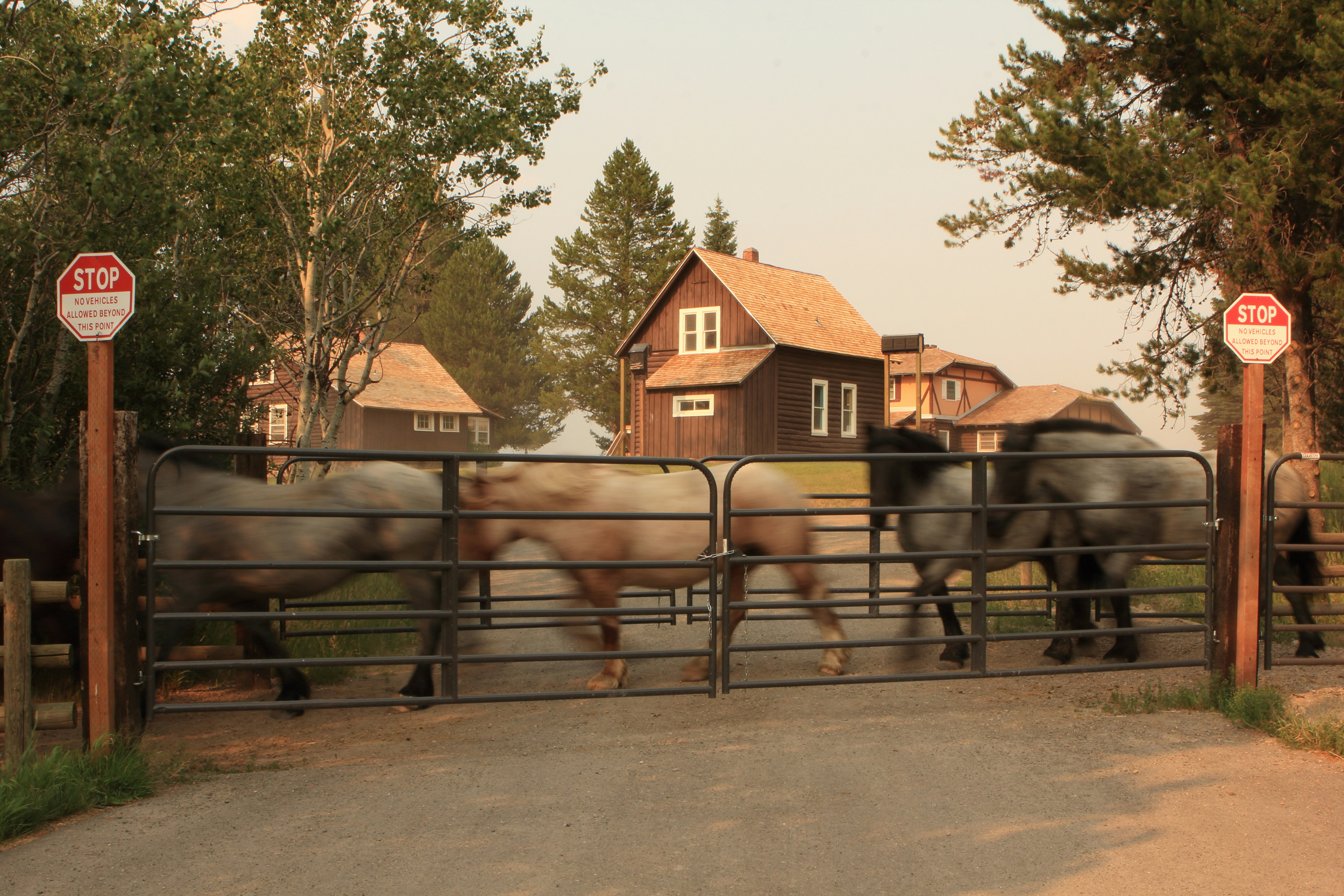 Jimmy Carter's State Funeral: A Final Salute to the 39th President