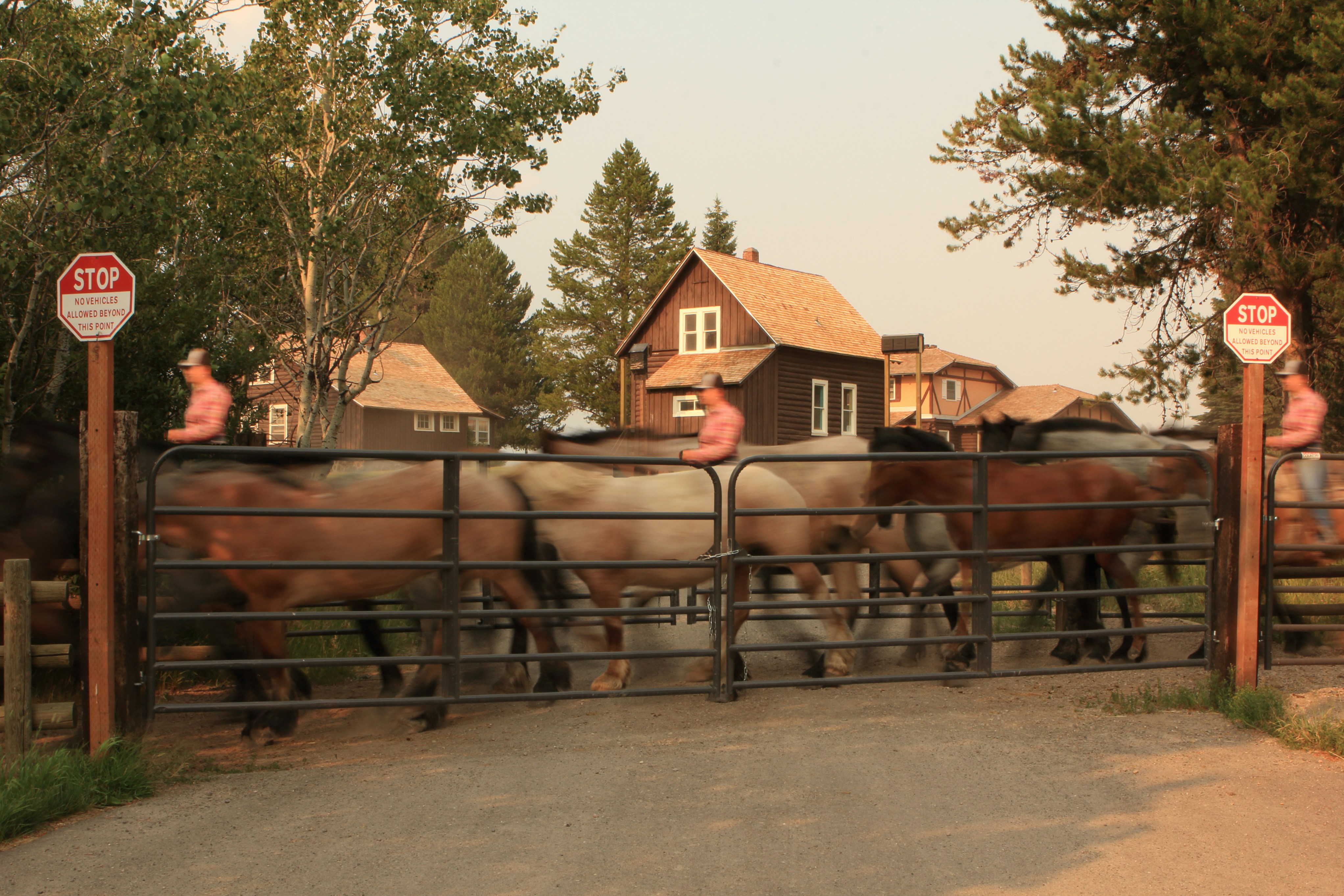 Hvordan Finder Man Oxidationstallet?