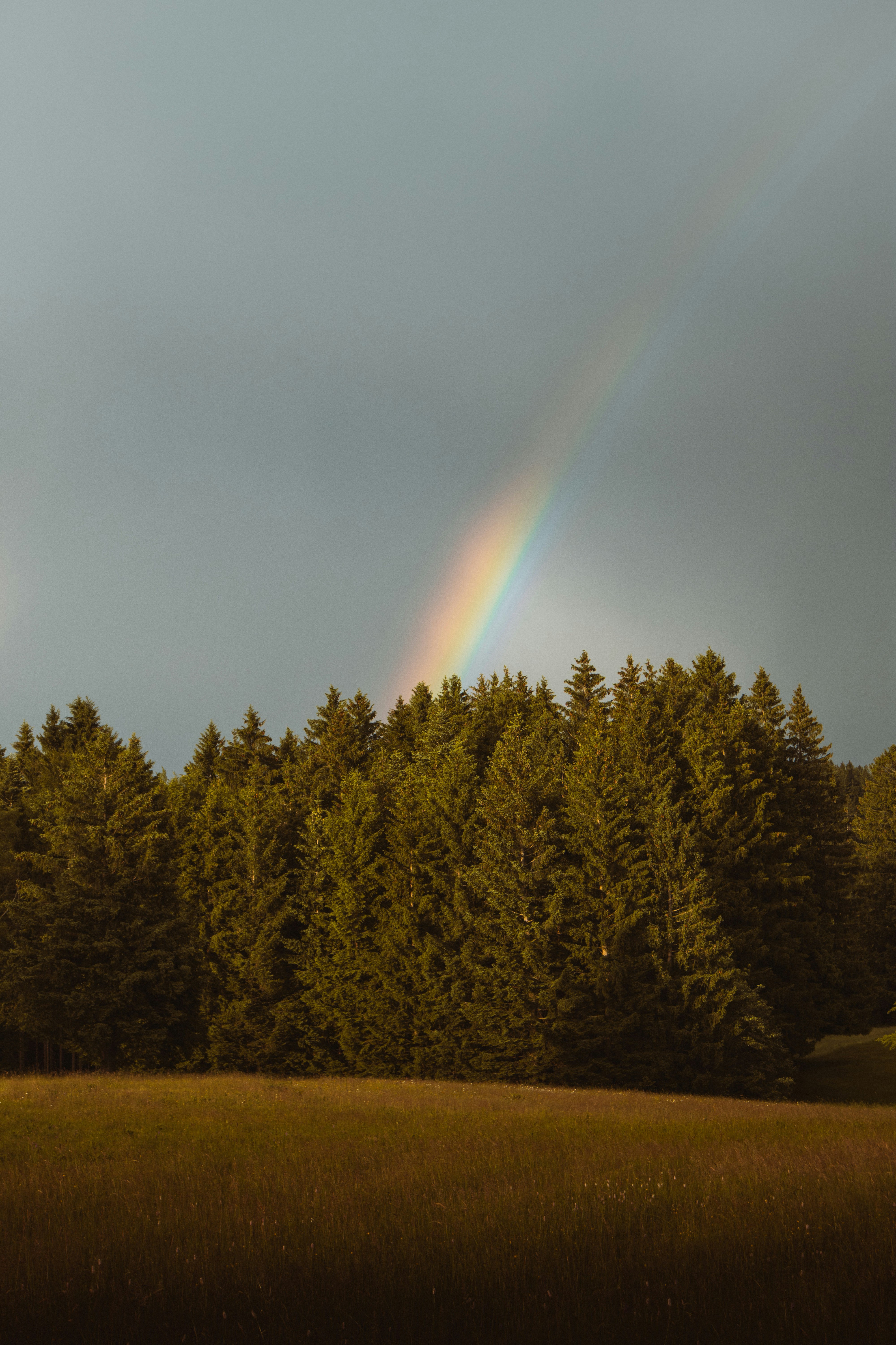 Photo by danakatharina