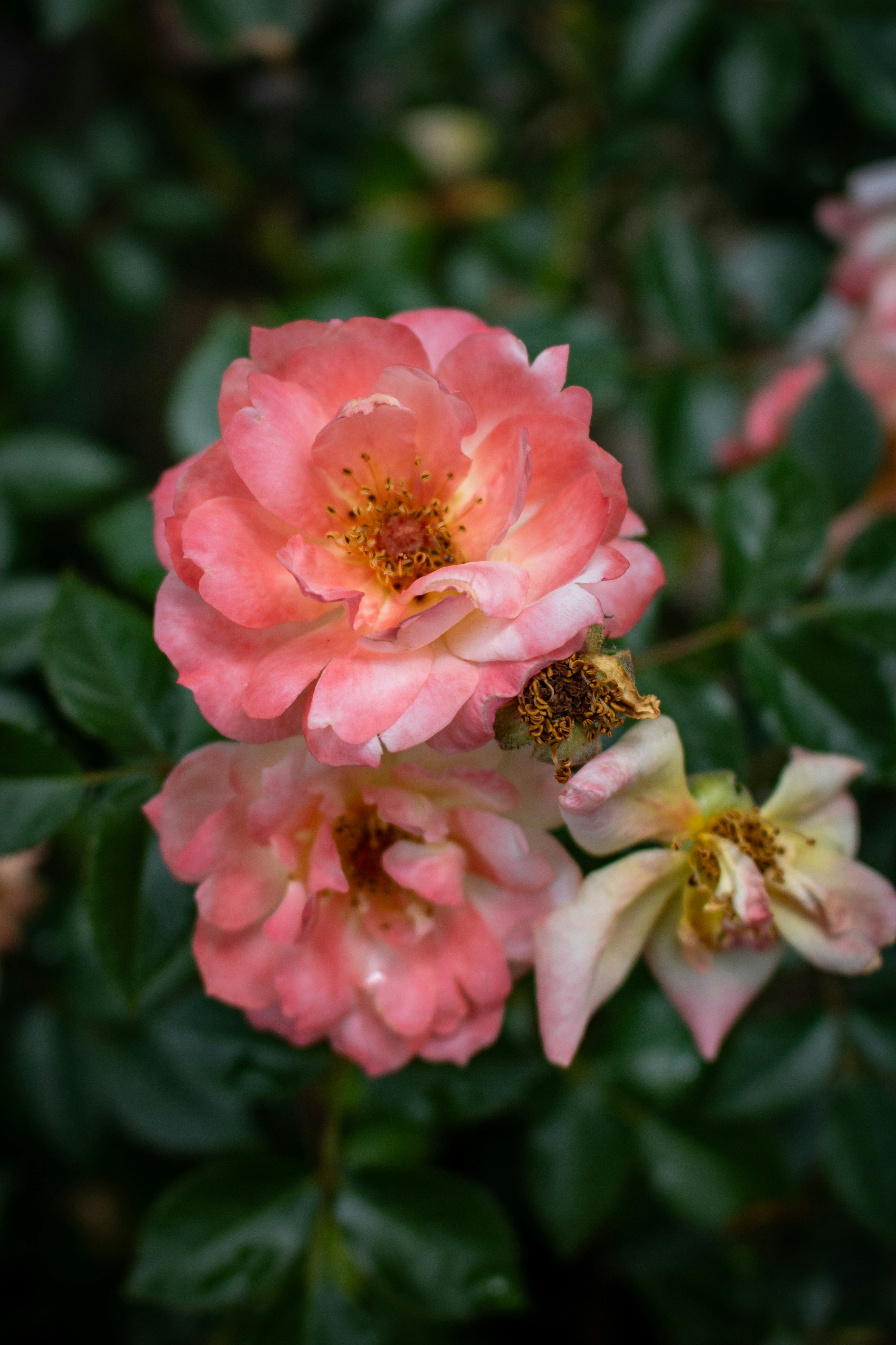 black and white bed linen