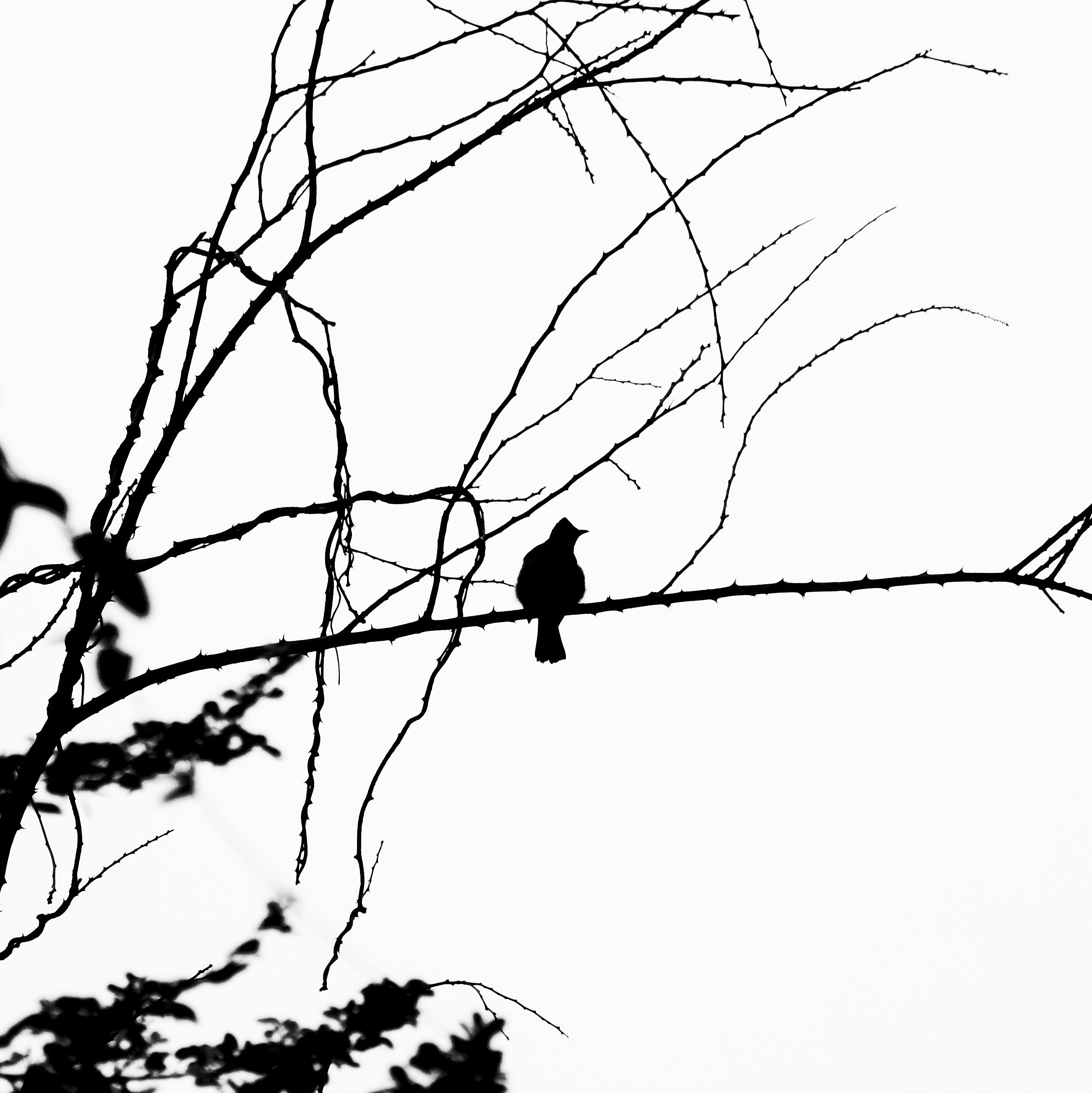 Photo by thats_my_photography