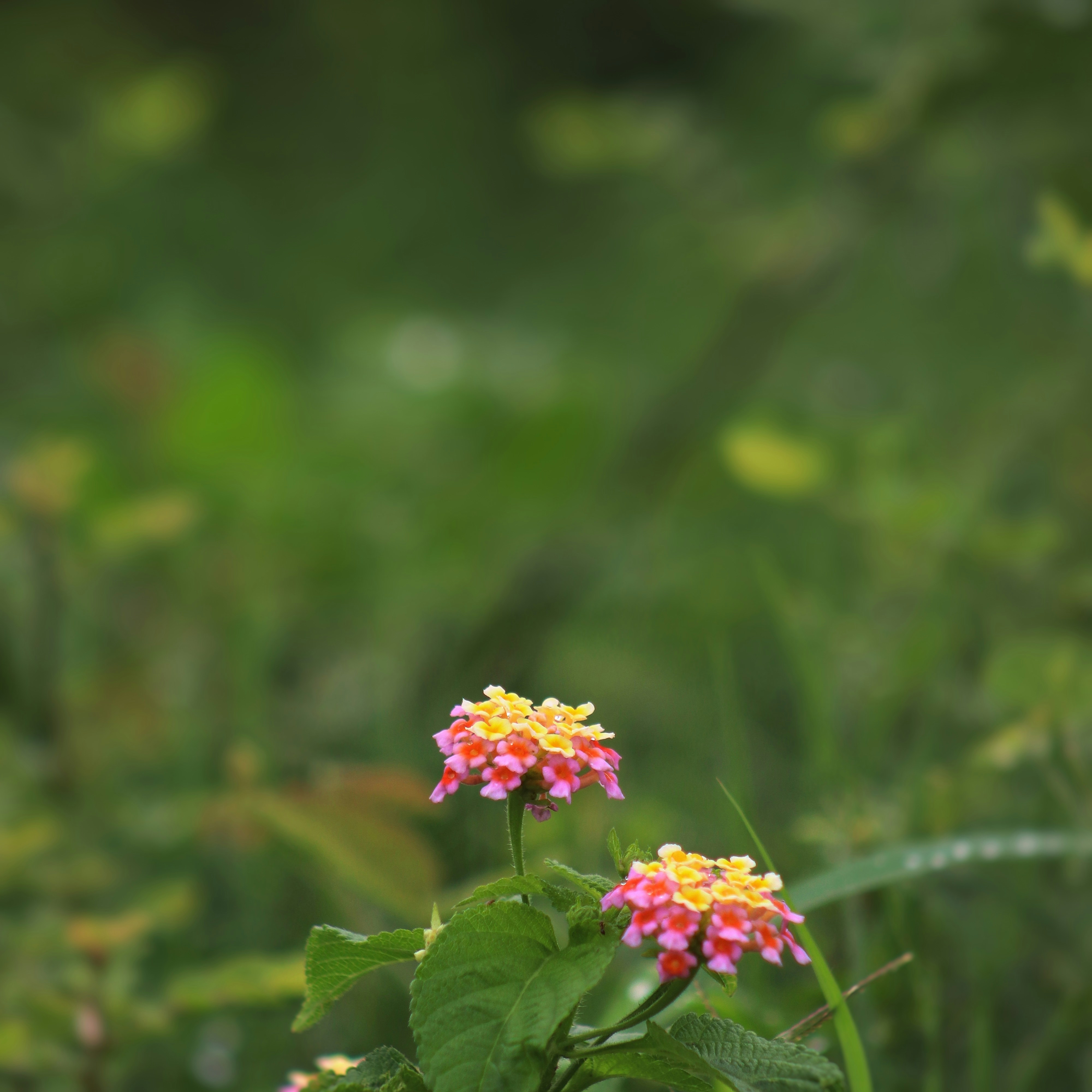 Photo by thats_my_photography