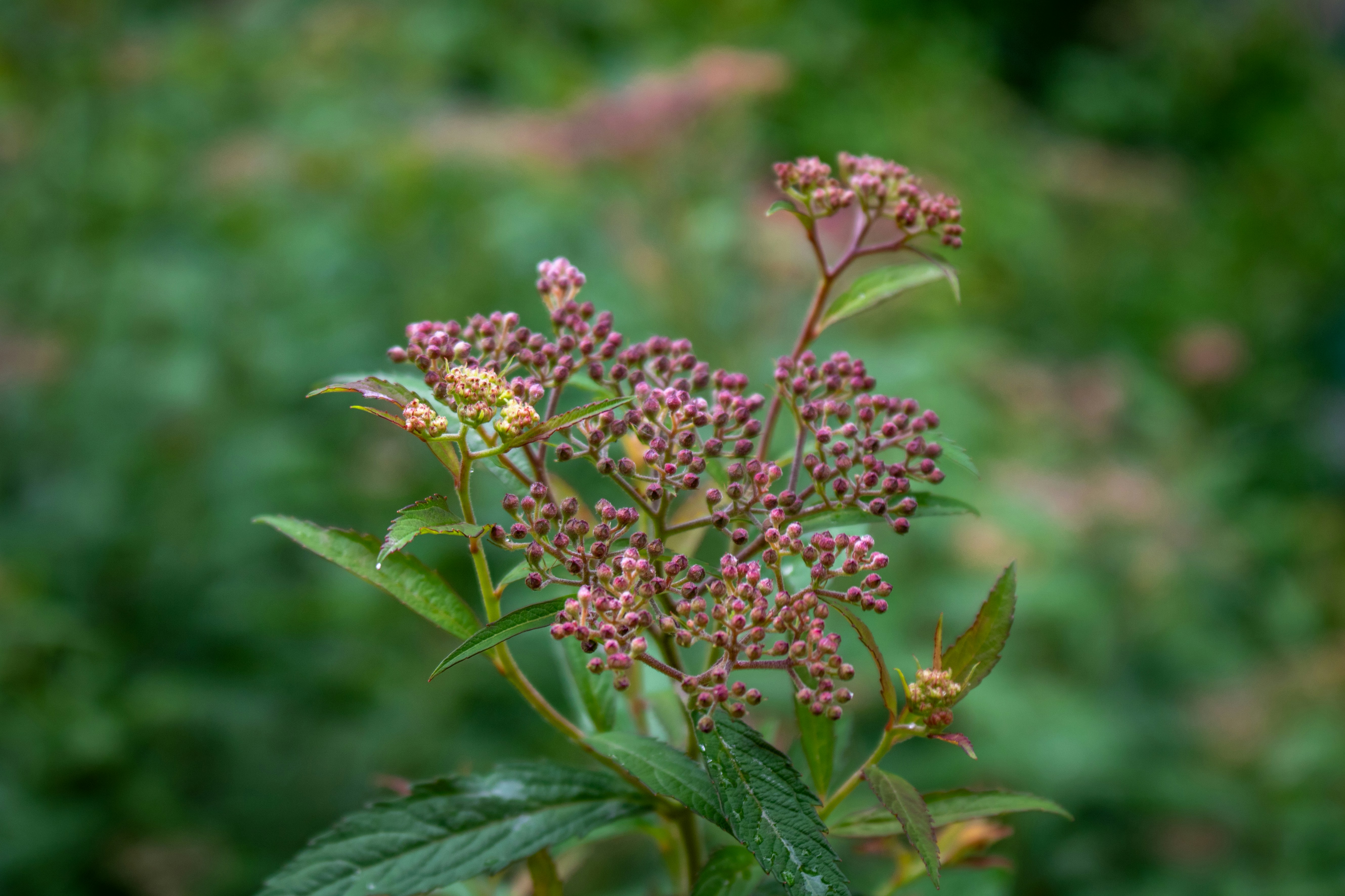 Photo by zoshuacolah