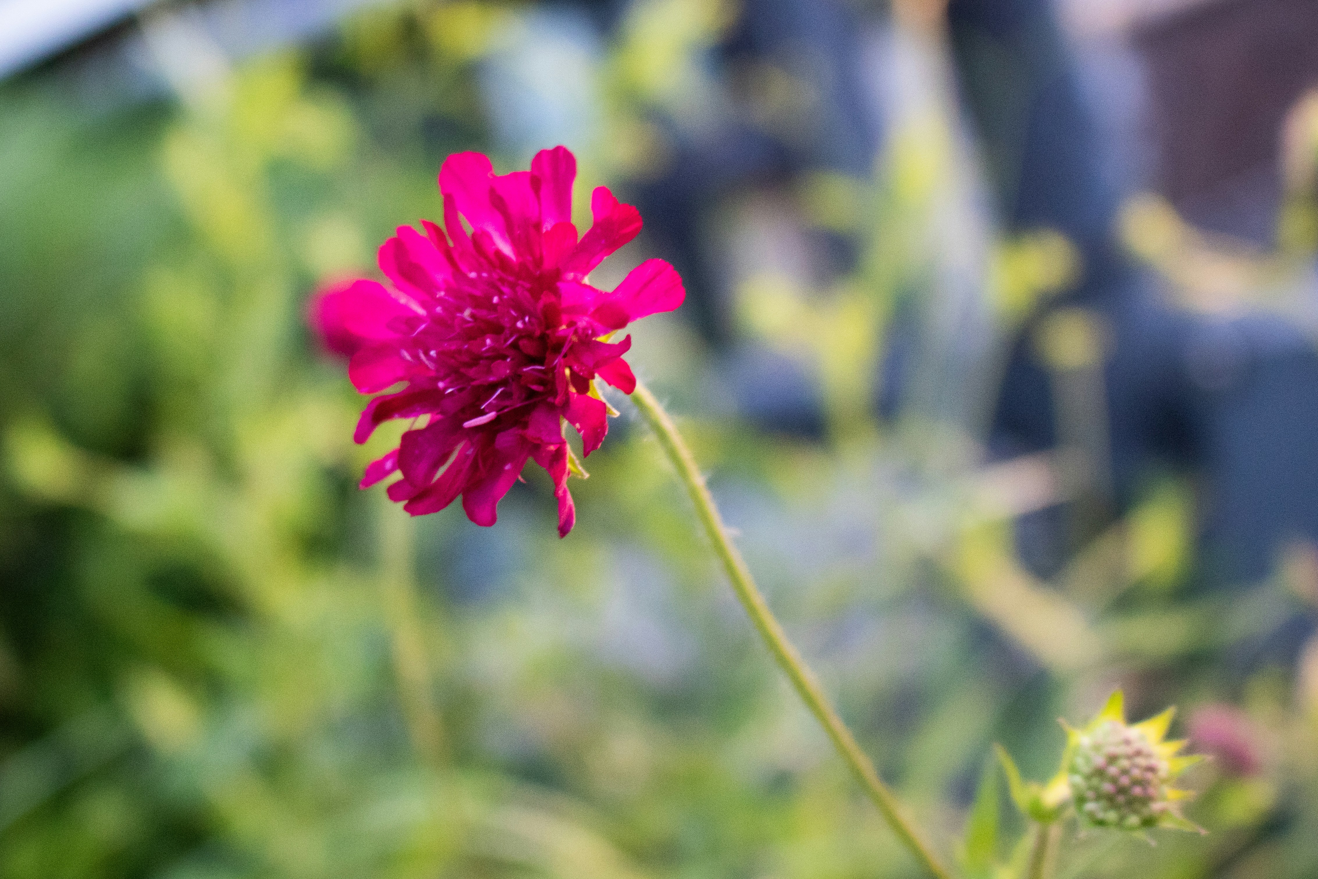 Photo by zoshuacolah