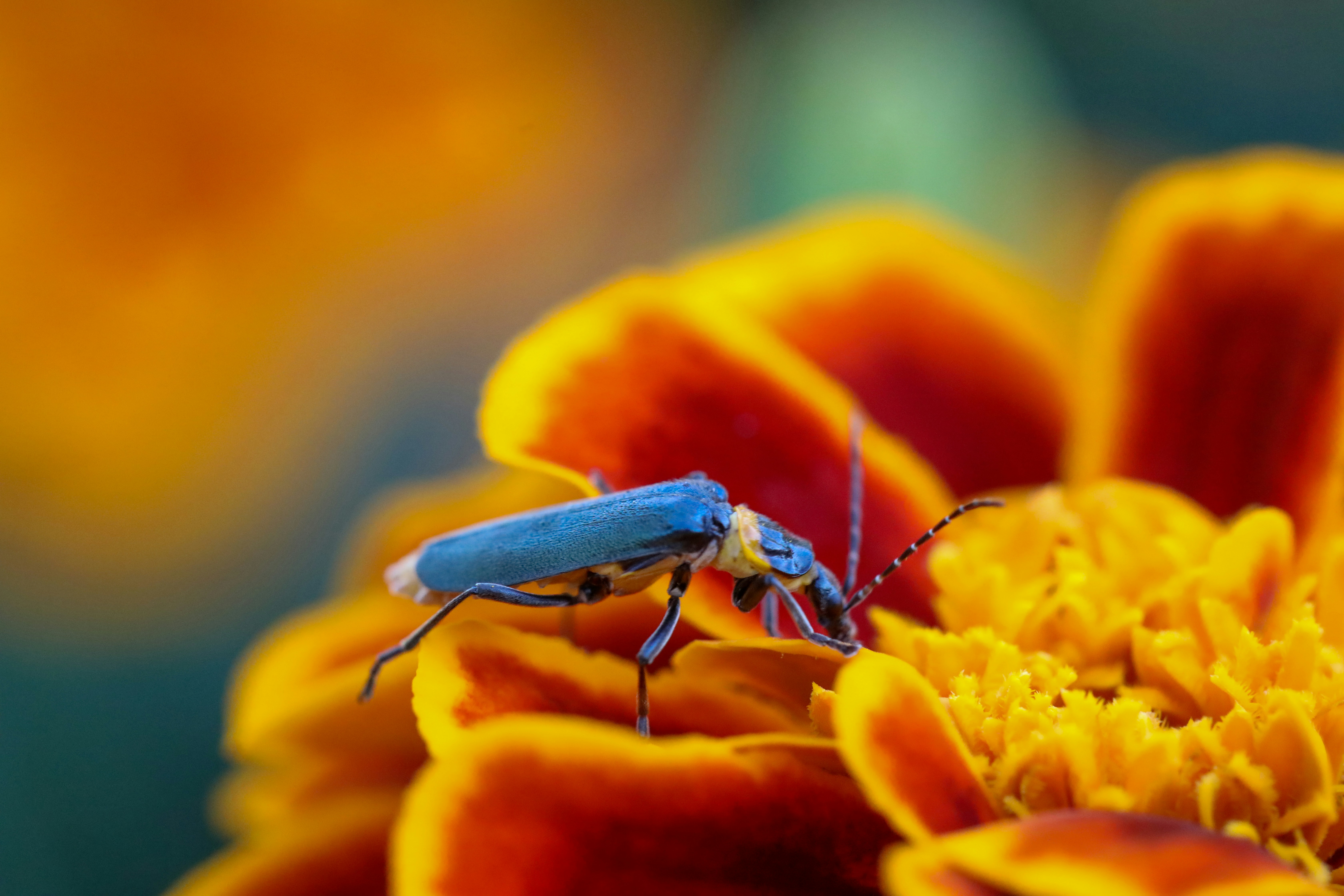 Photo by kyesphotography