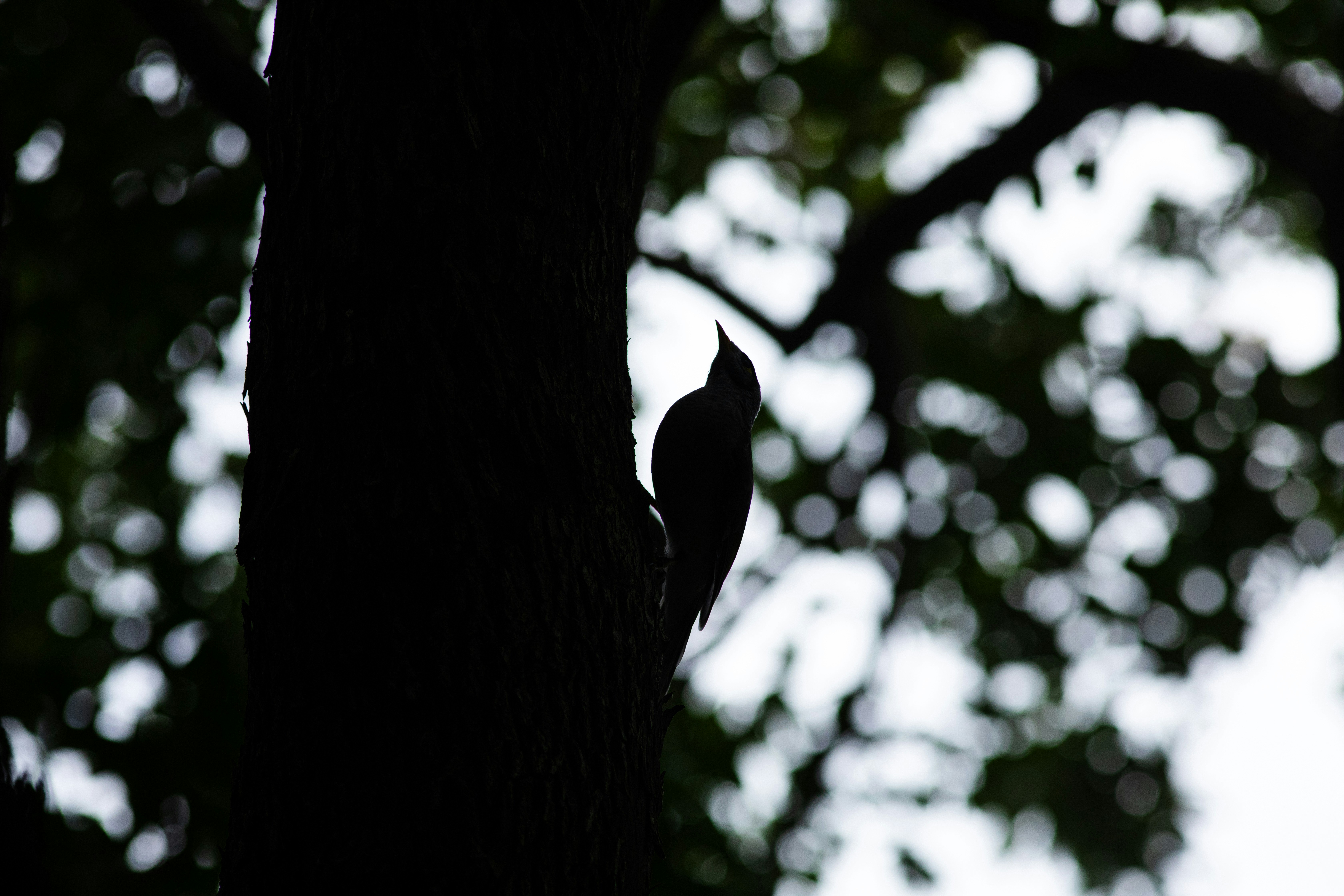 Photo by kyesphotography