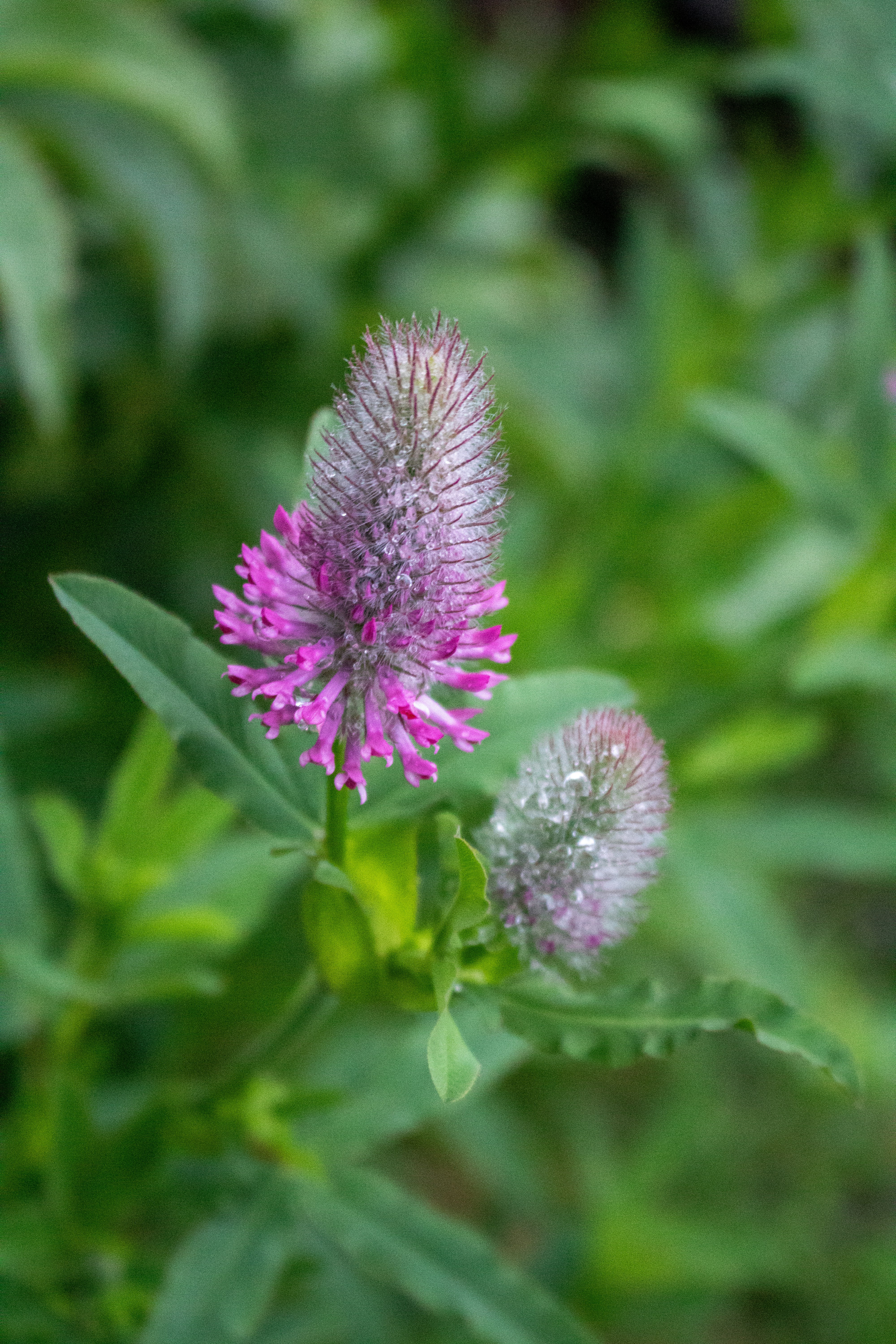 Photo by zoshuacolah