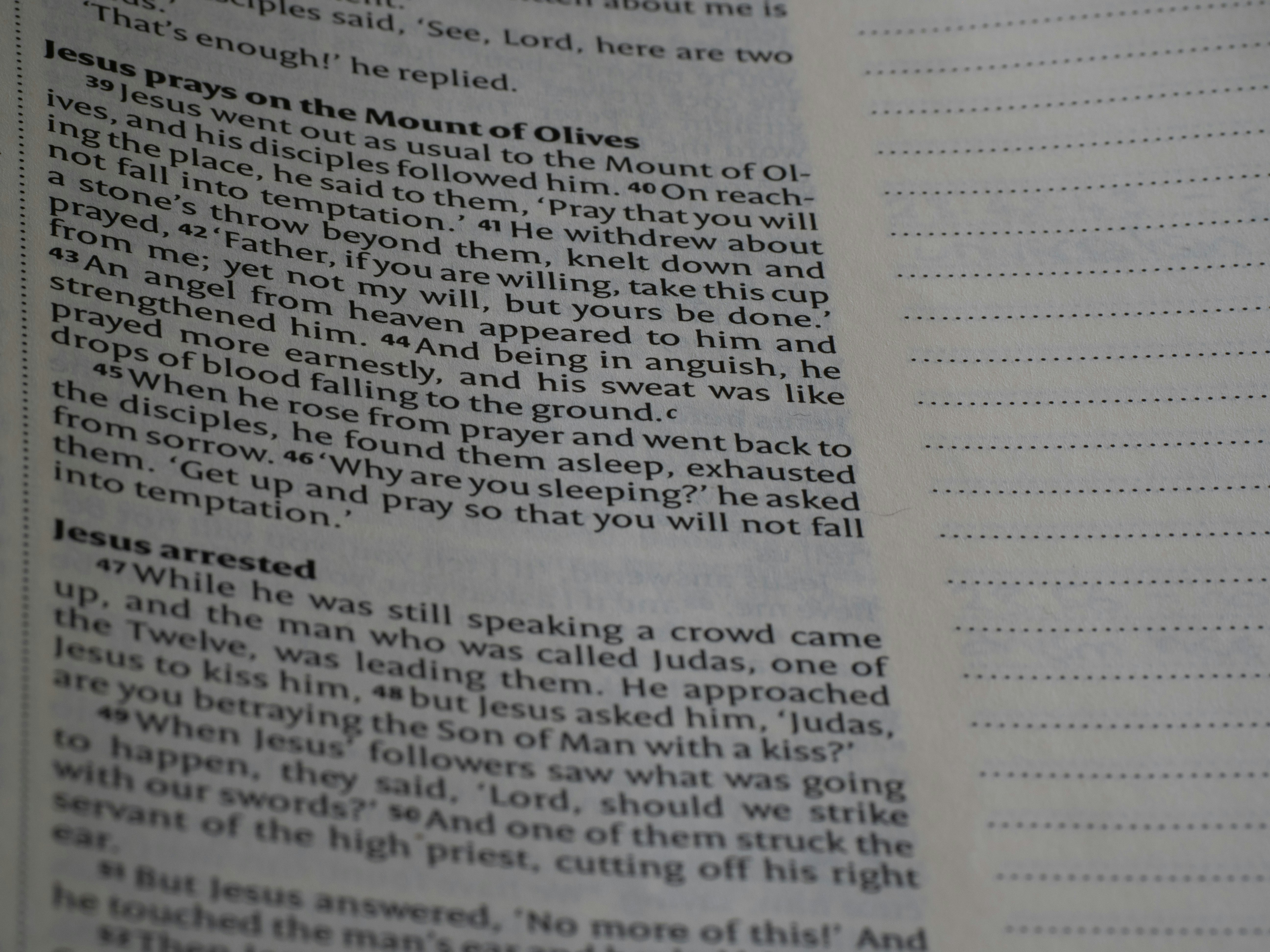 Photo by brett_jordan