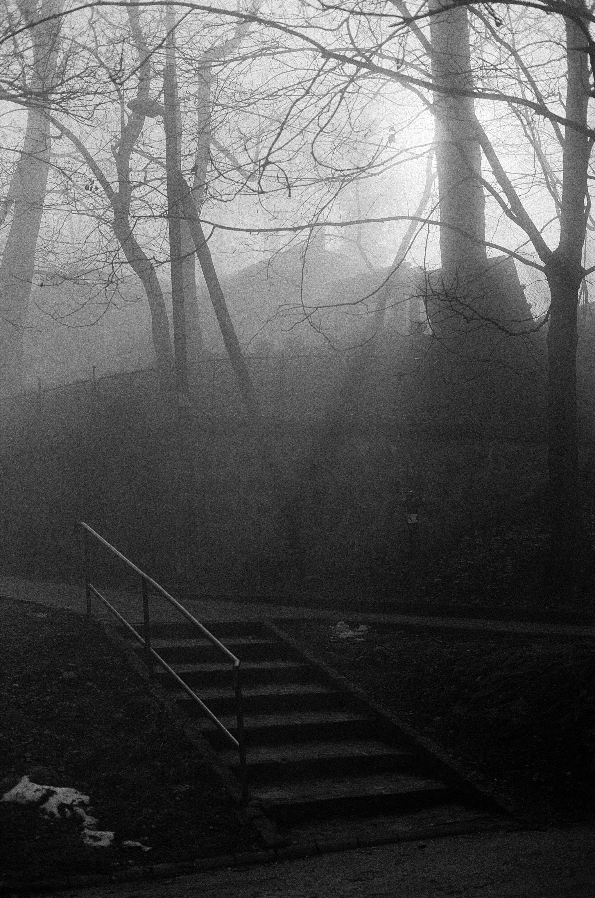 Photo by stachmann