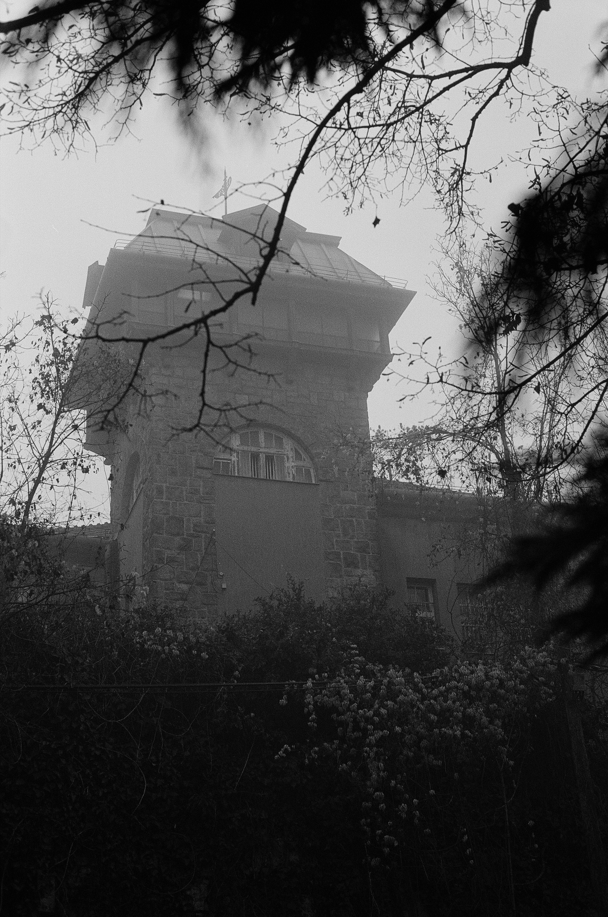 Photo by stachmann