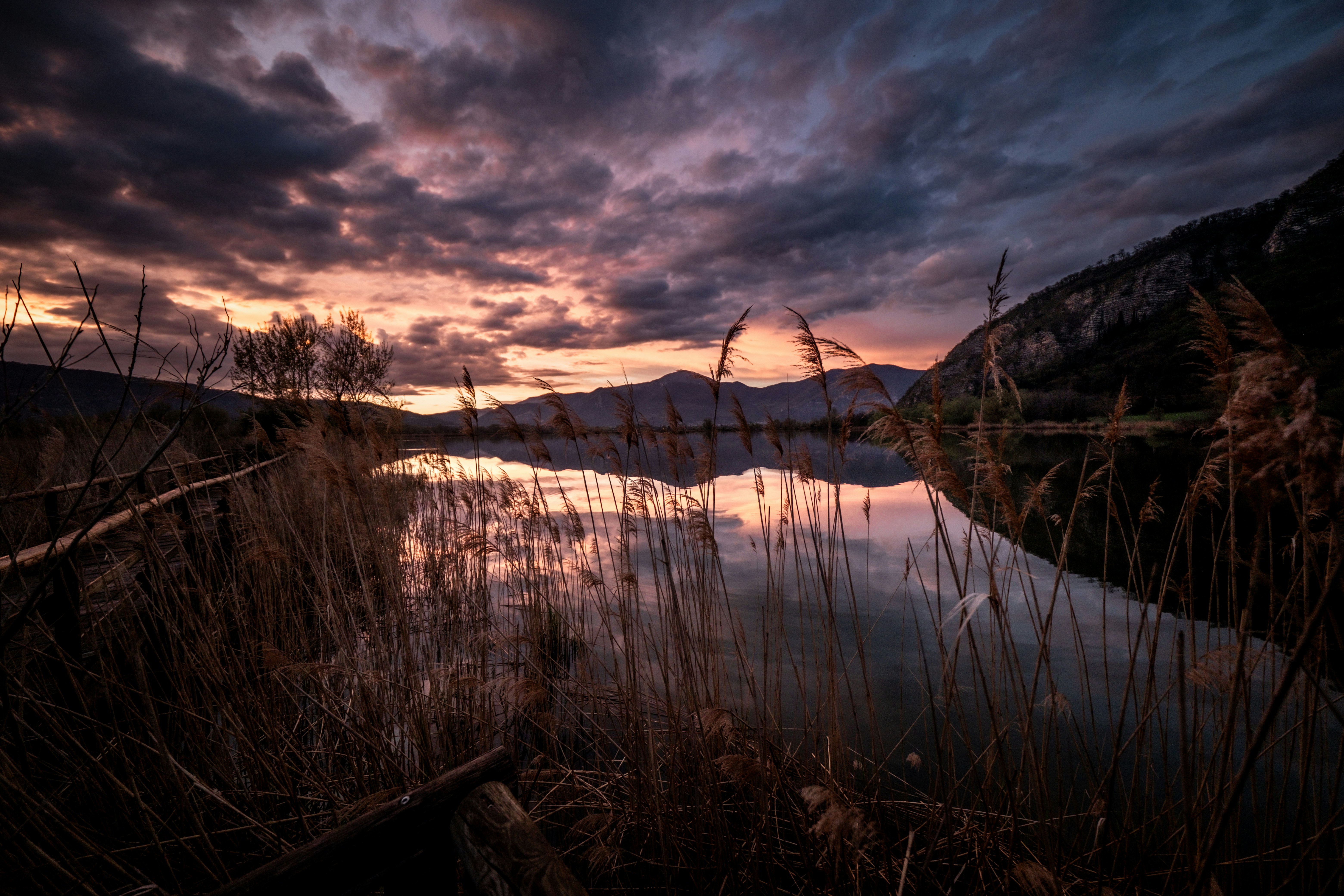 Photo by francesco_ungaro