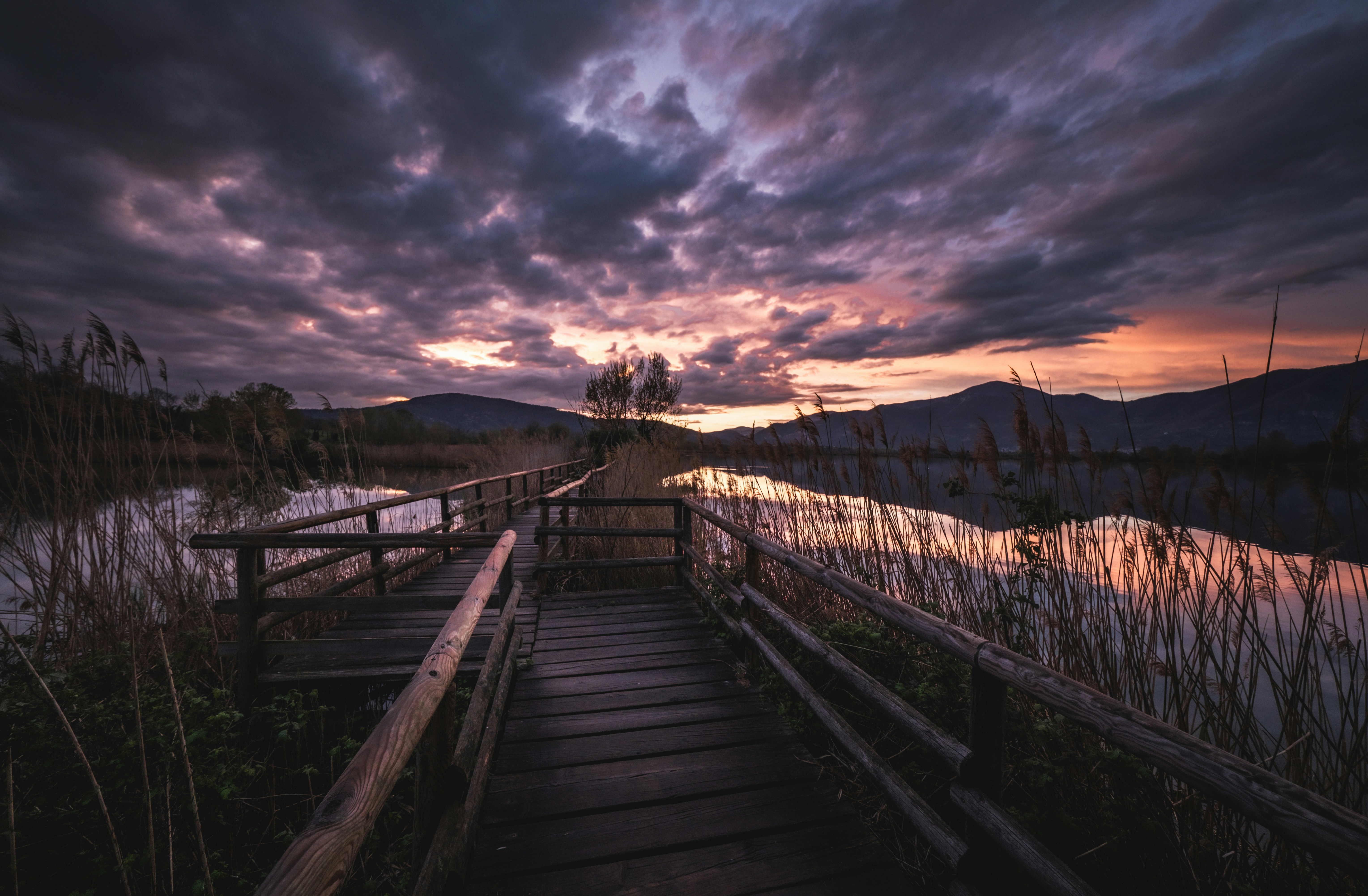 Photo by francesco_ungaro