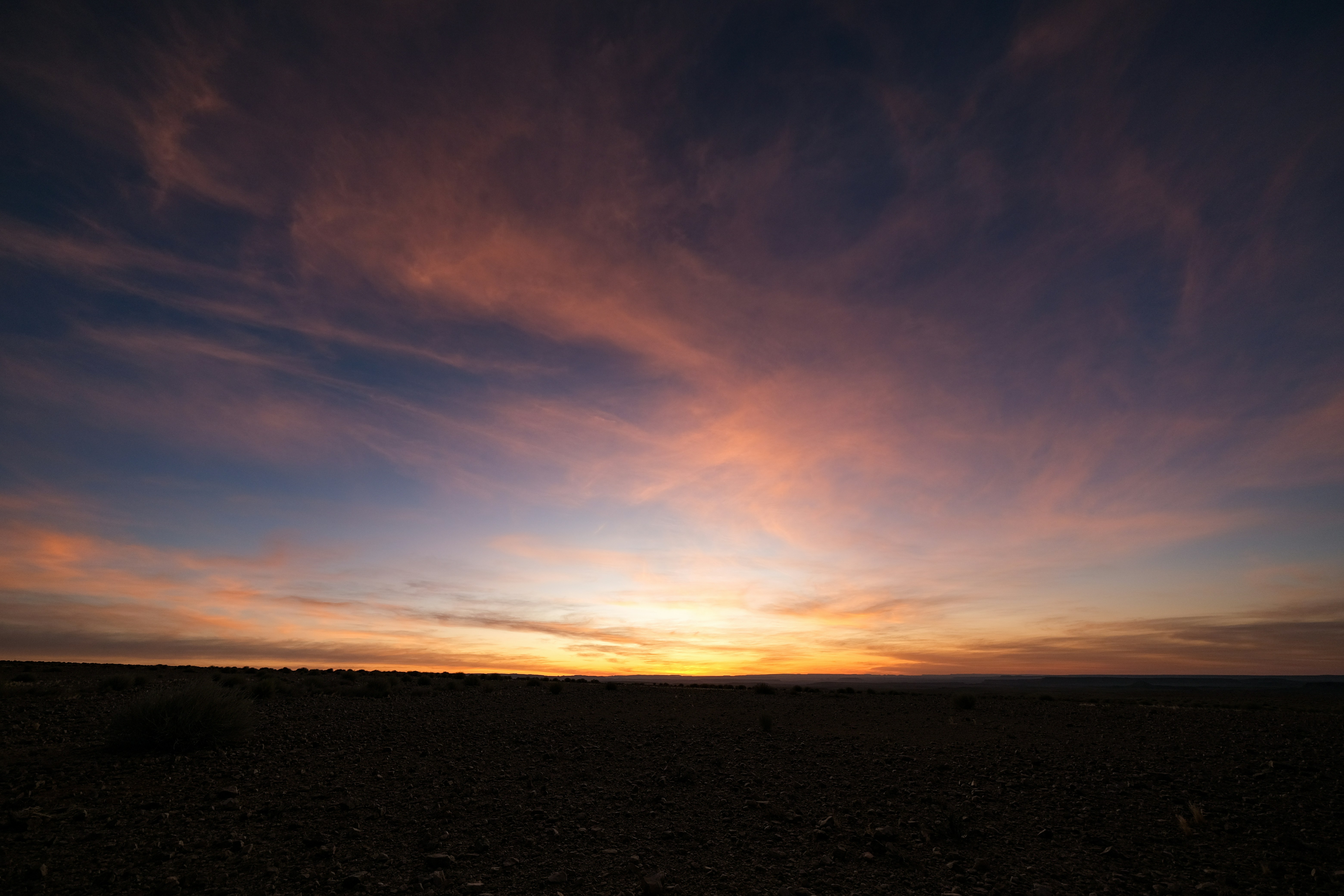 Photo by francesco_ungaro