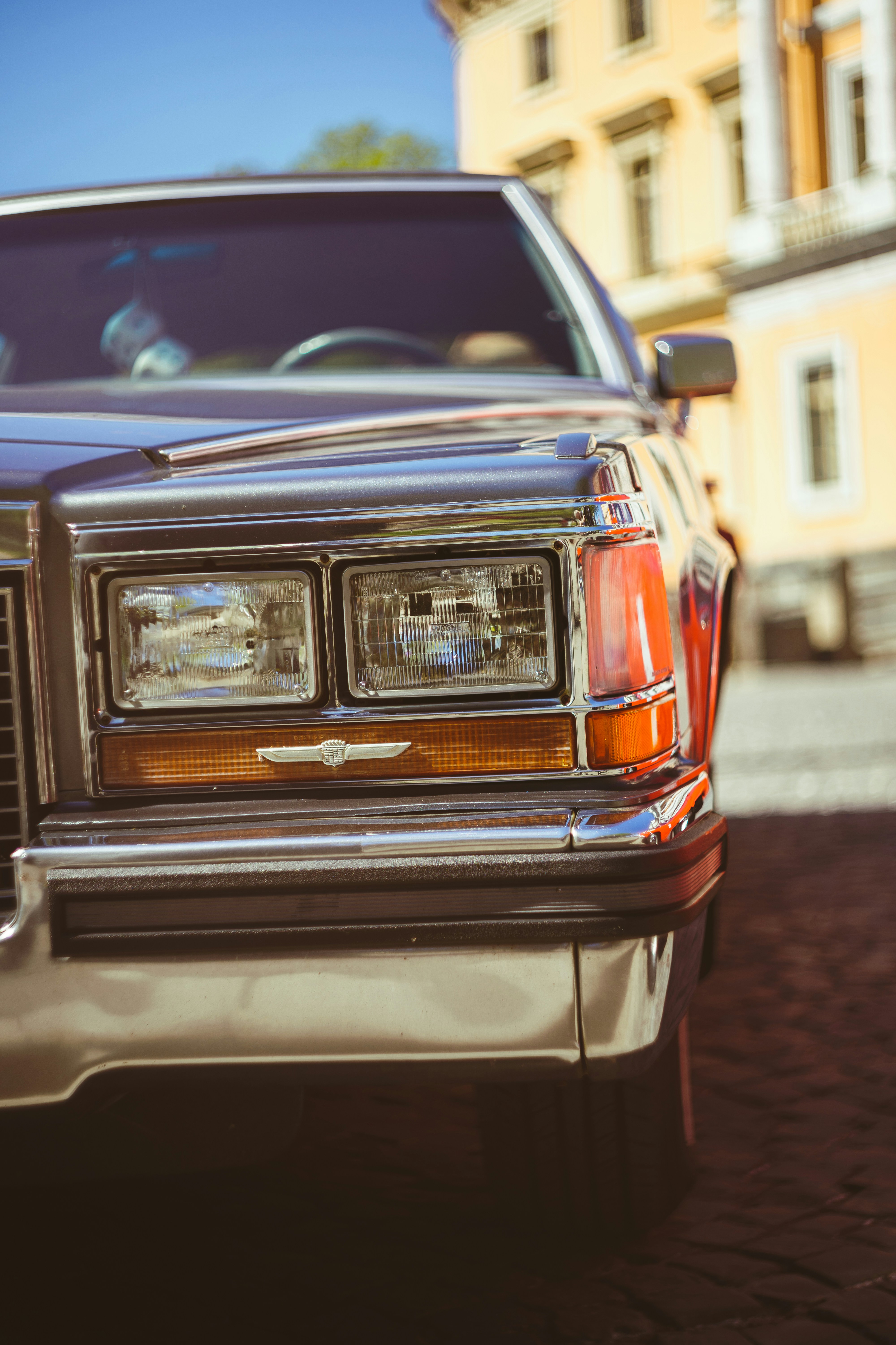 Photo by mirrors_are_more_fun