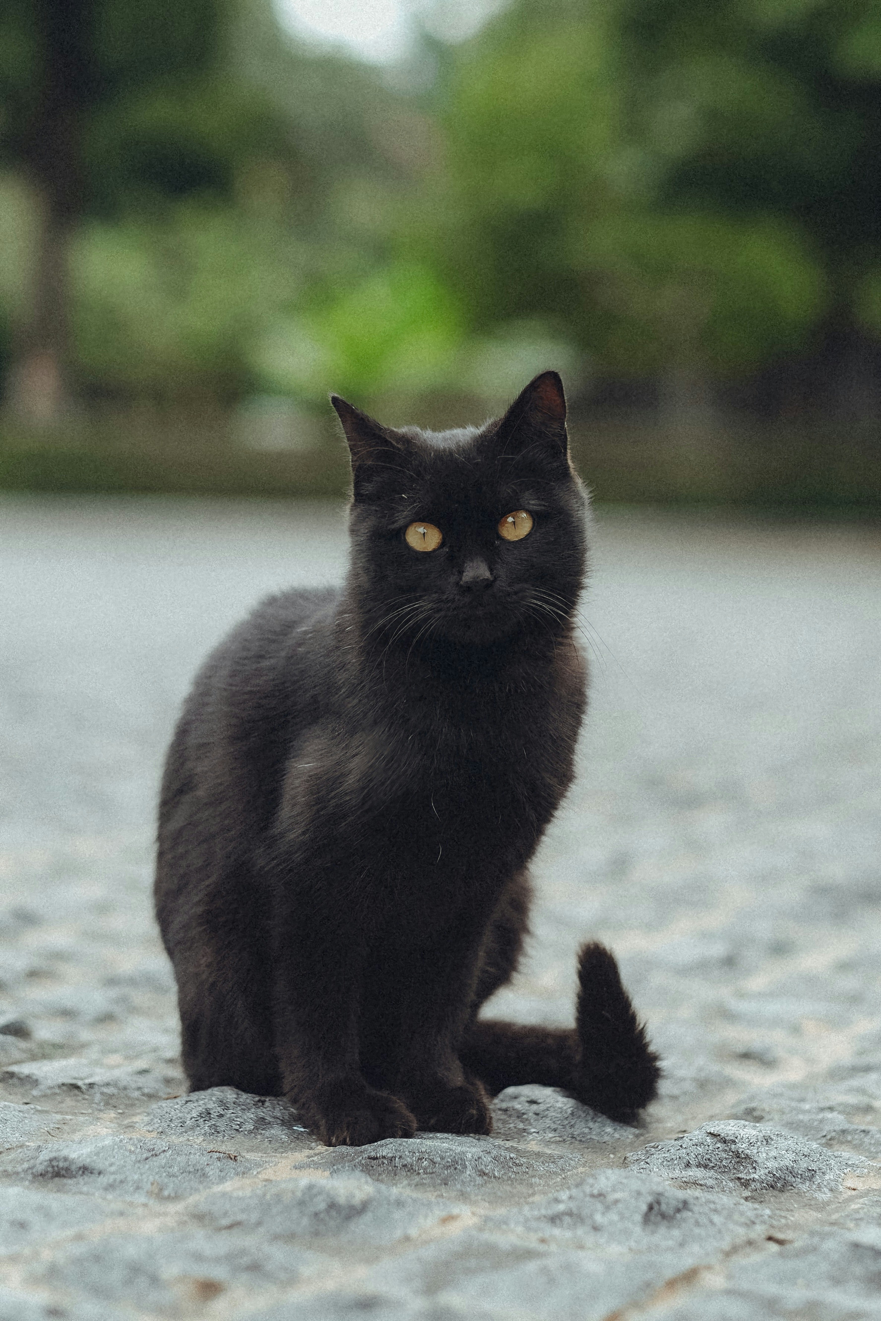 Photo by photohunter