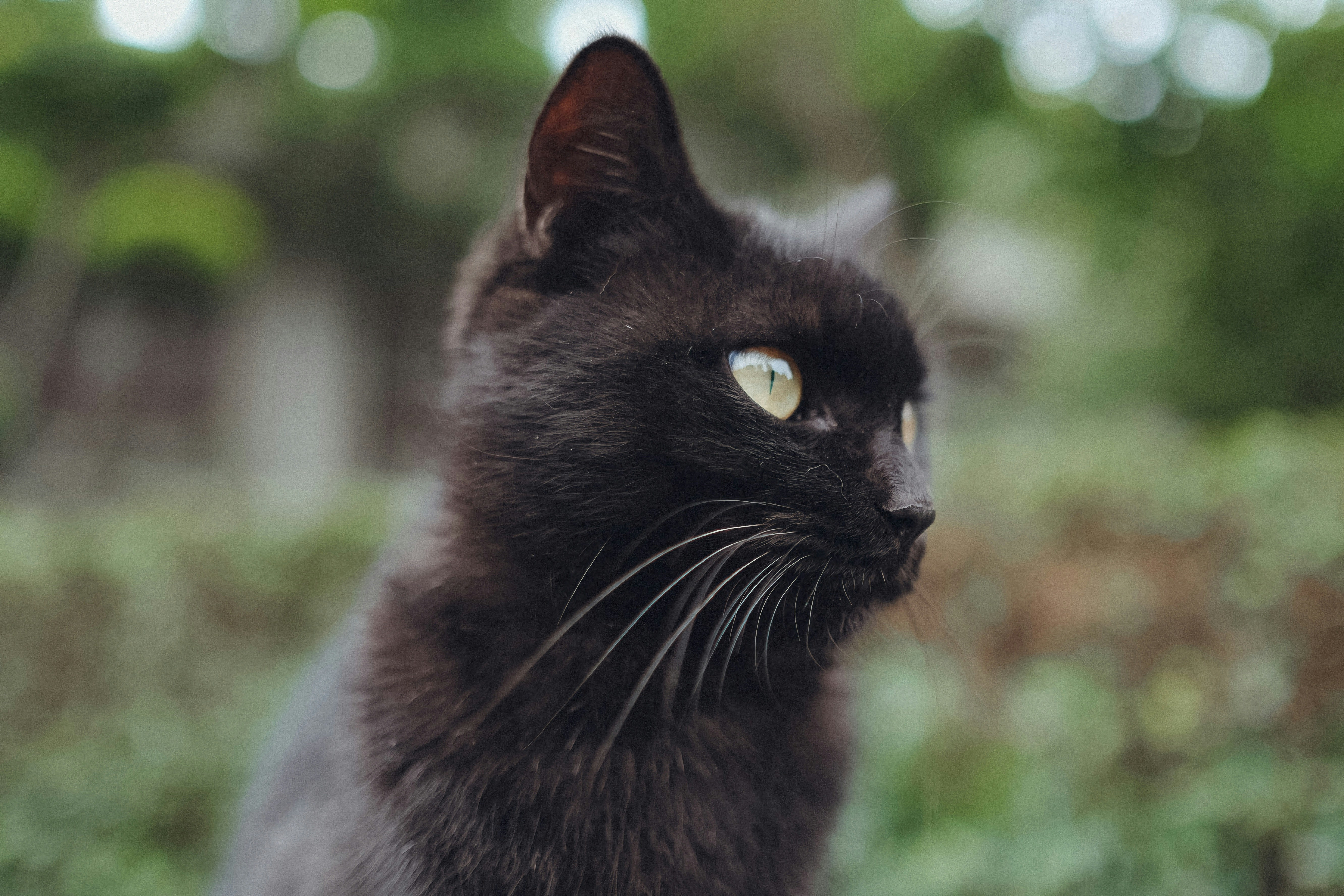 Photo by photohunter