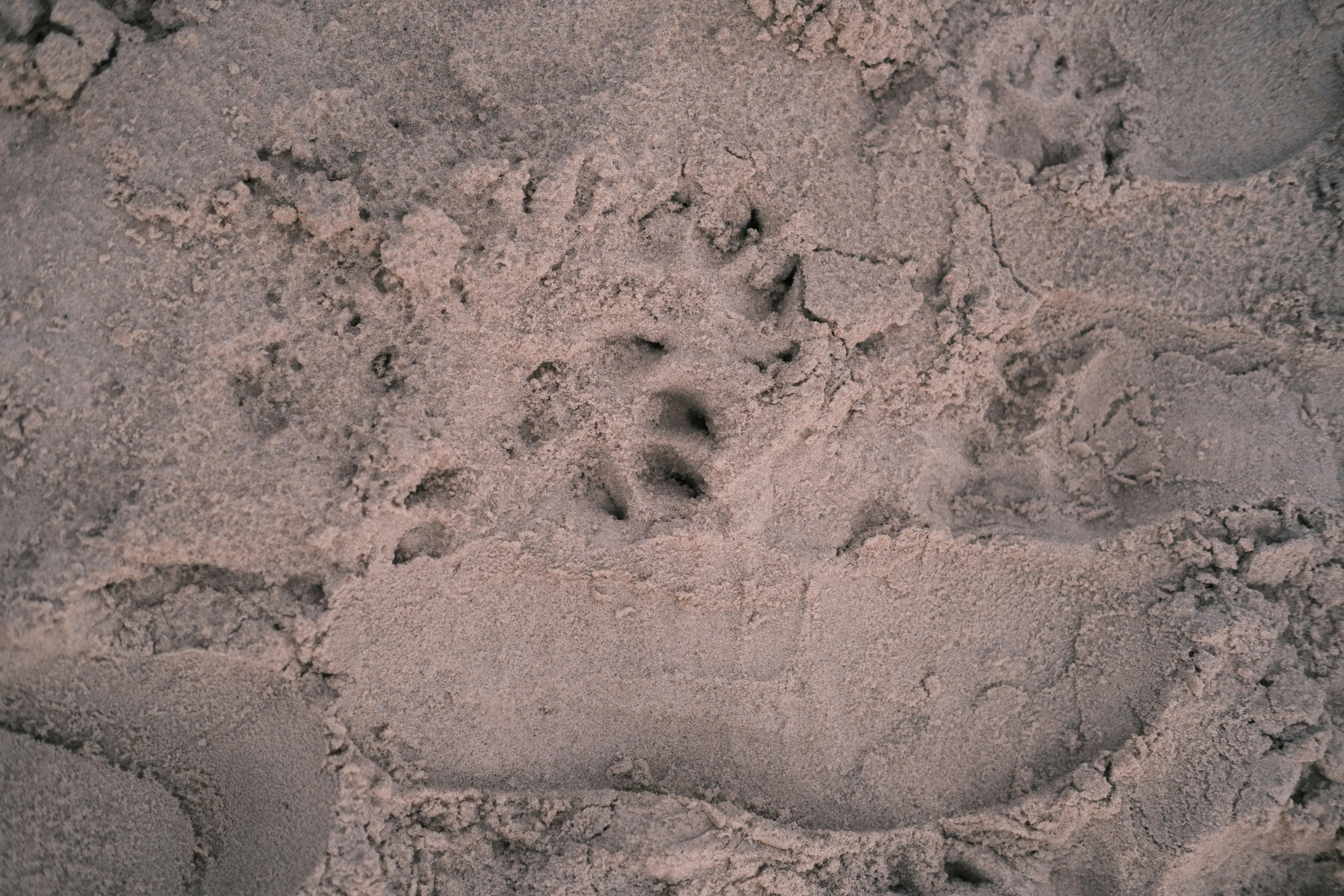 Photo by paopattarapol