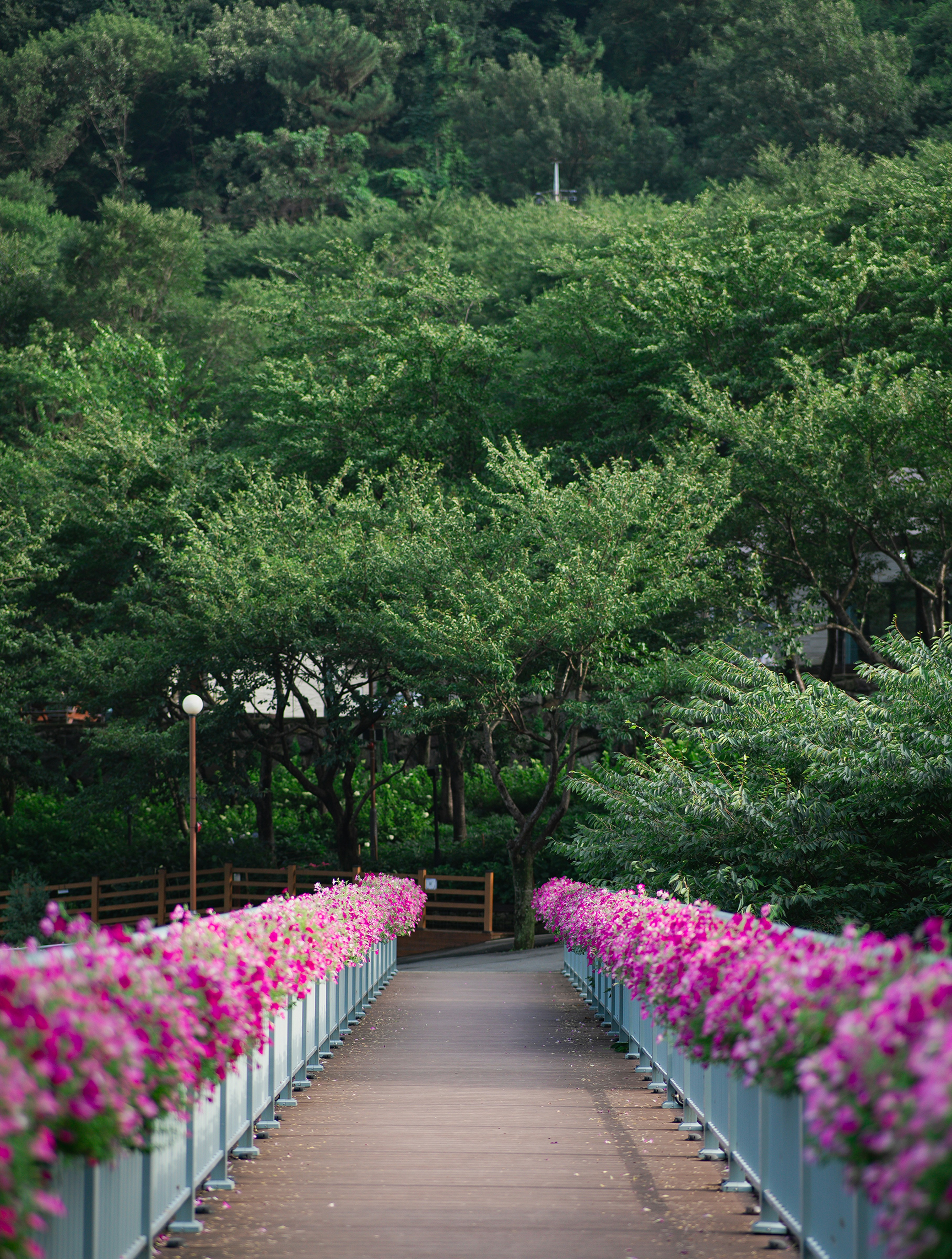 Jinju – Natural Environment & Landscapes