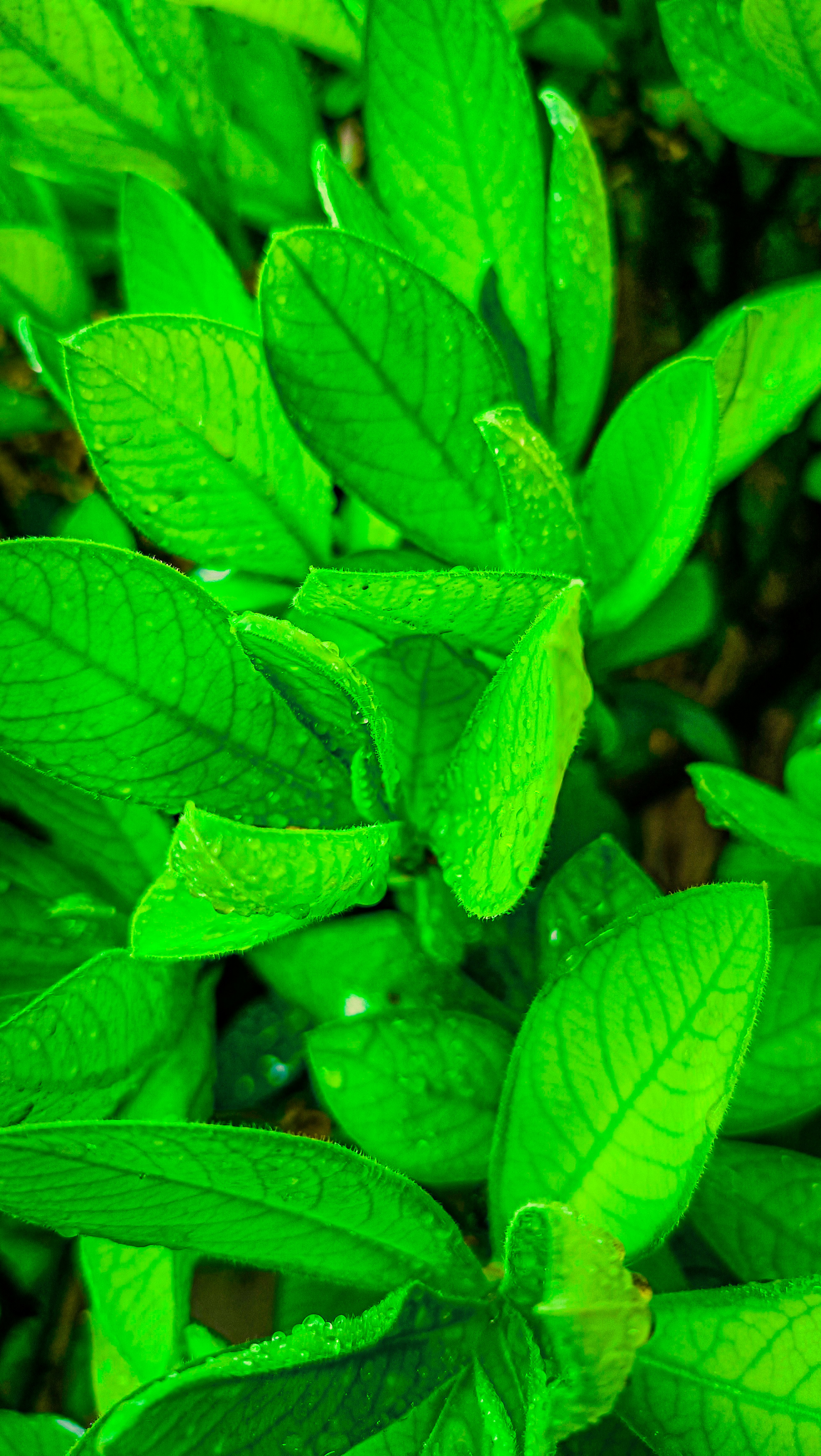 Photo by sumitkashyap27