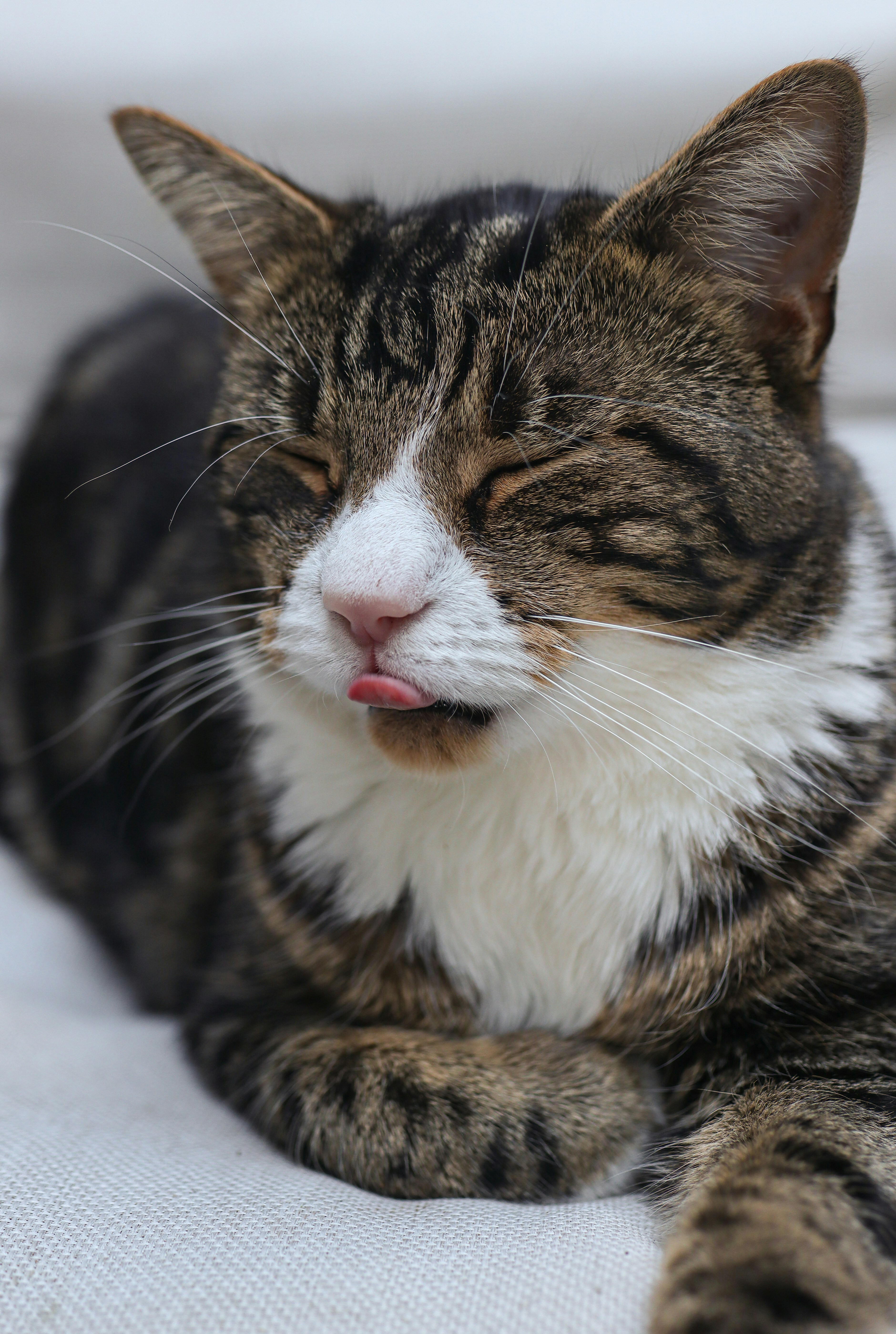 Photo by dianarafira