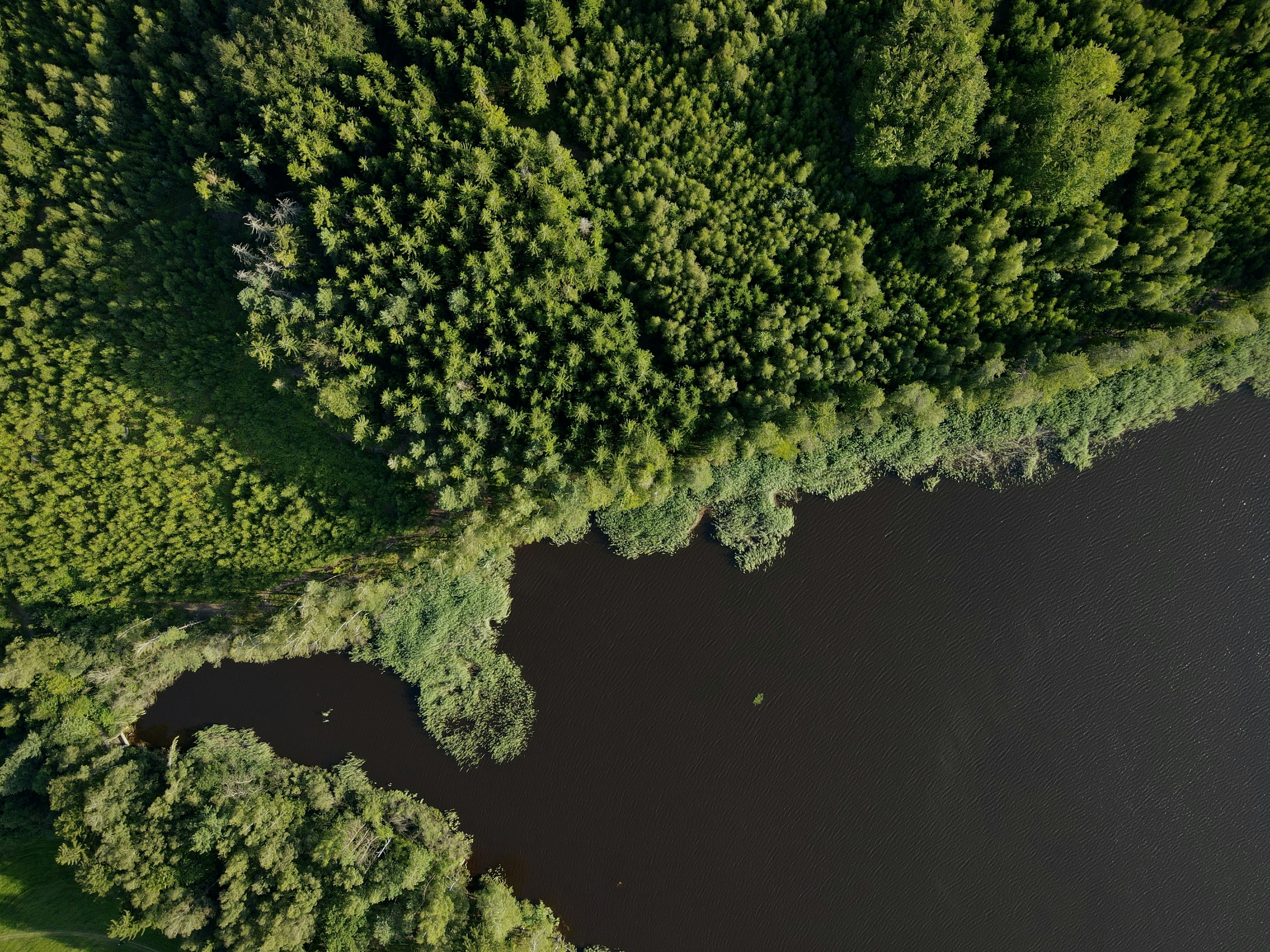 Photo by michaelarimakova