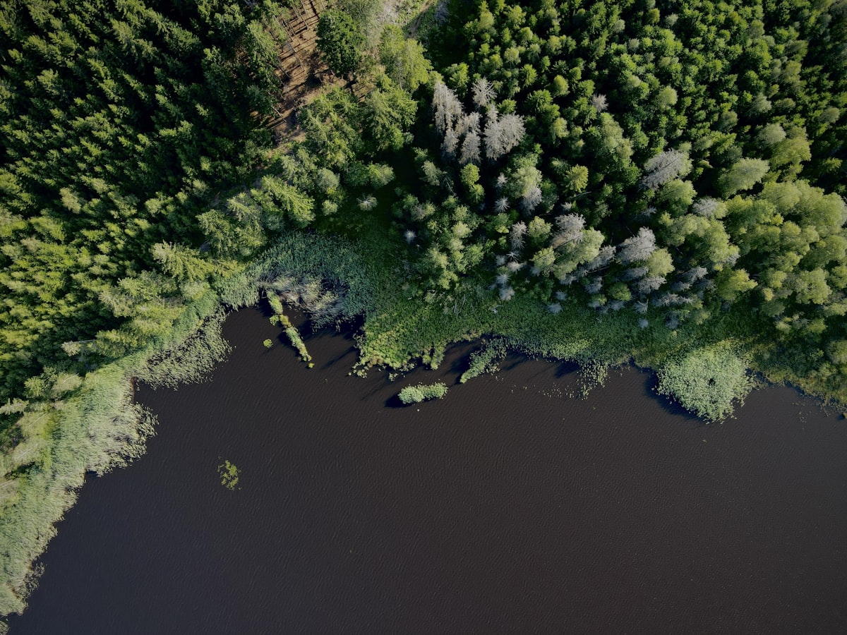 Luftaufnahme eines von Wald umgebenen Maarsees in der Vulkaneifel