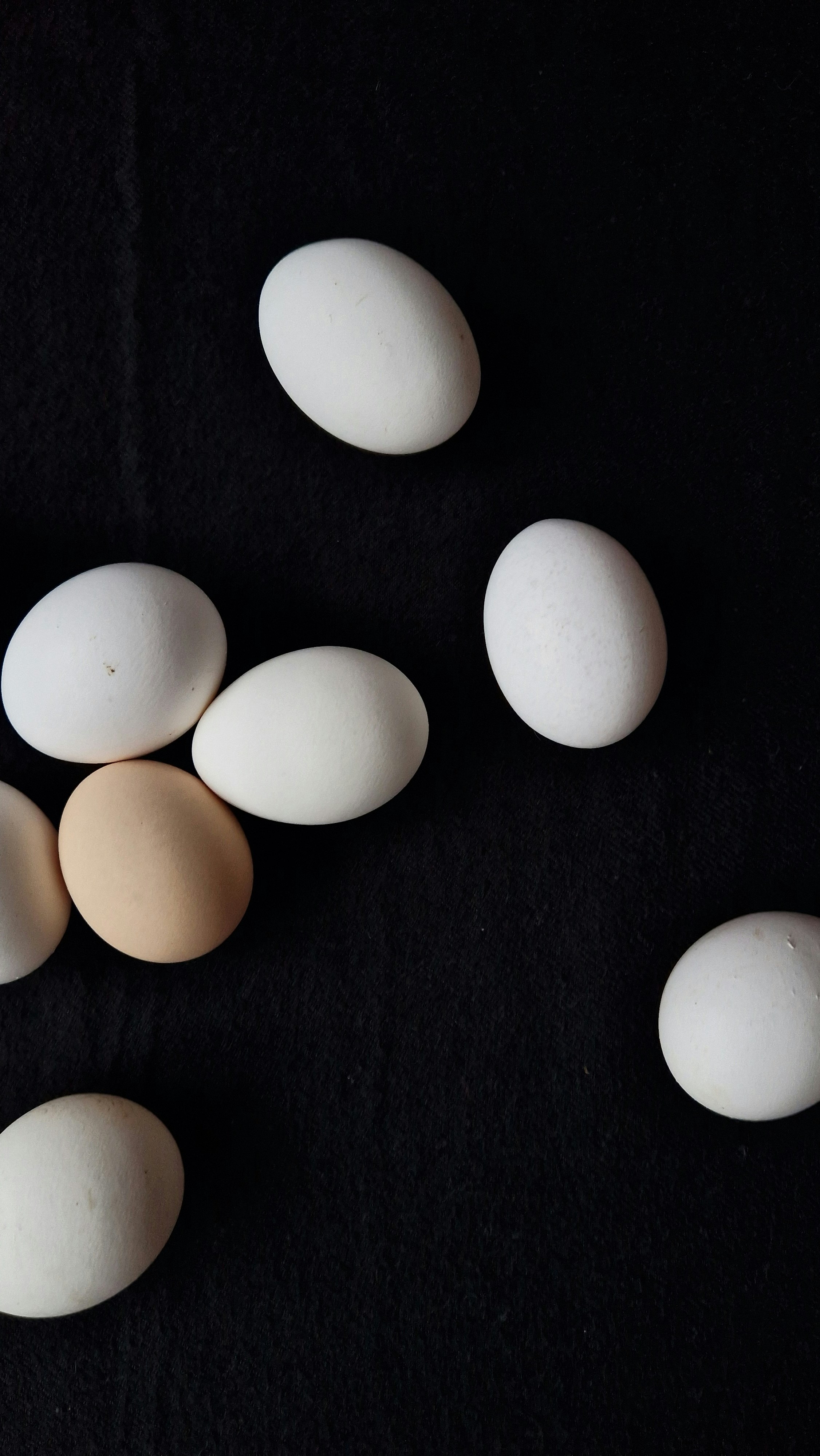 Photo by dmushtaieva