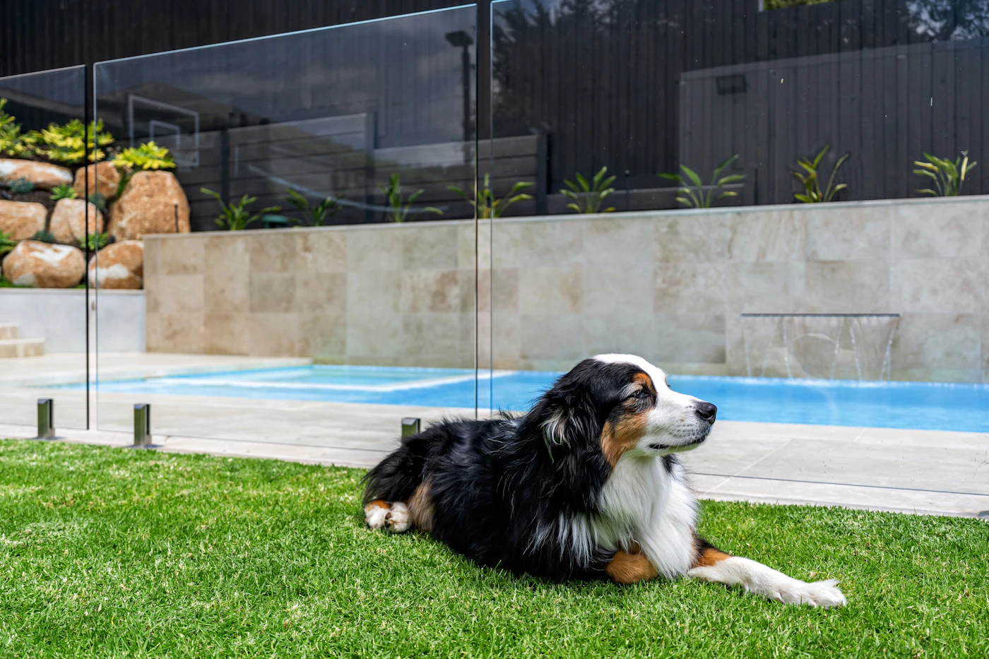 Spring Pool Fence Prep: The Inspection Every NWA Pool Owner Should Do in March