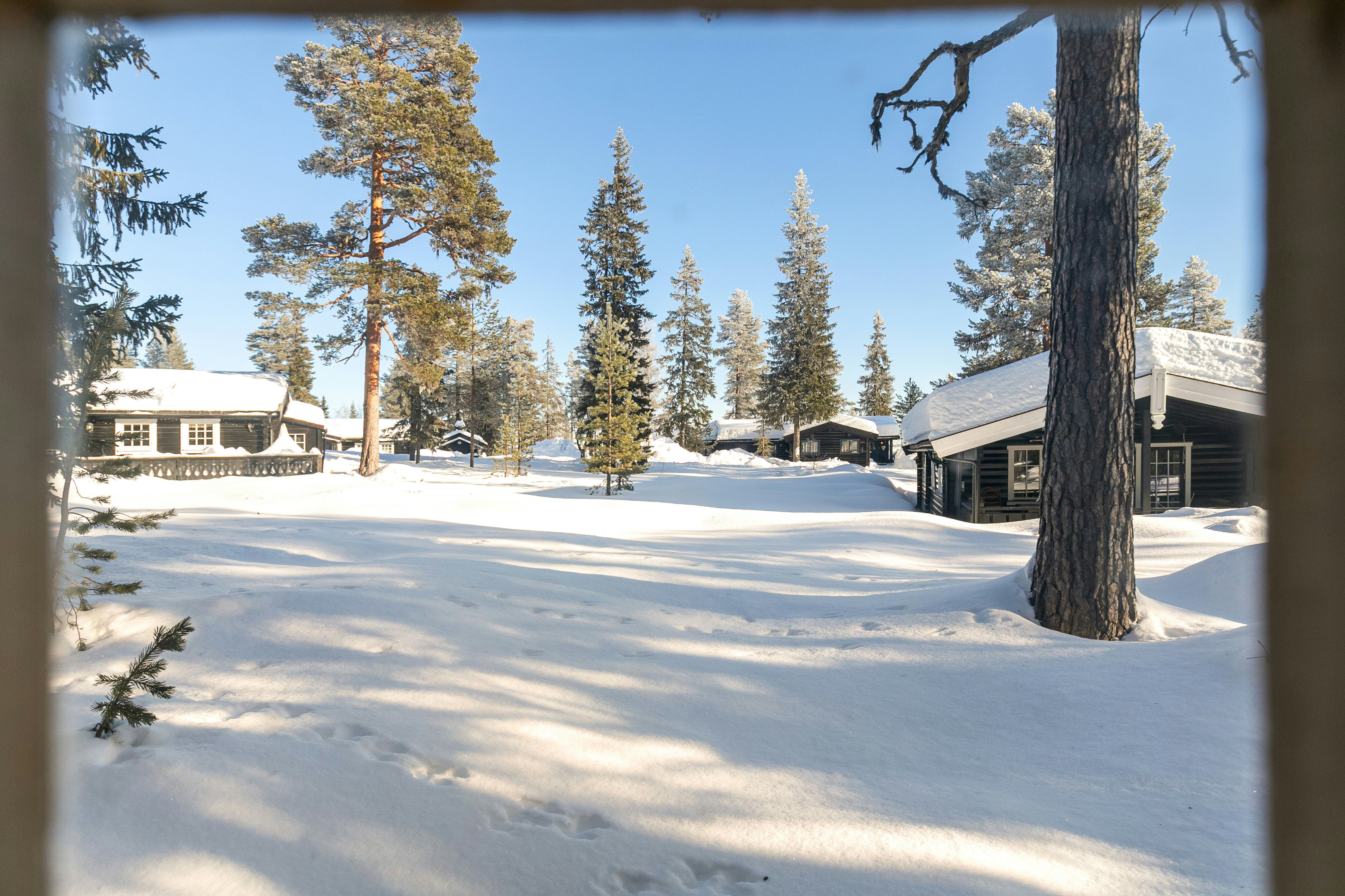 Photo by lisaanna195