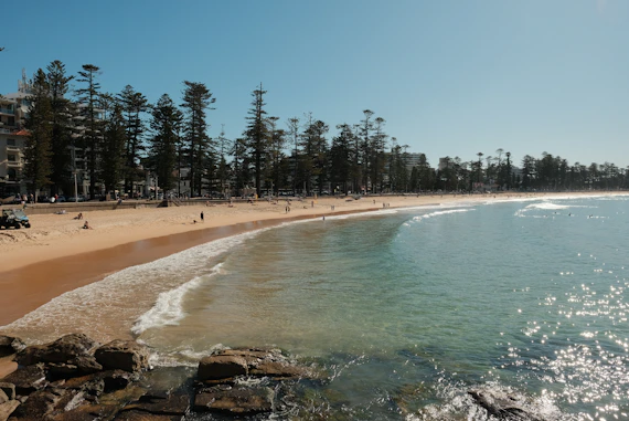 A beach that has a lot of trees on it