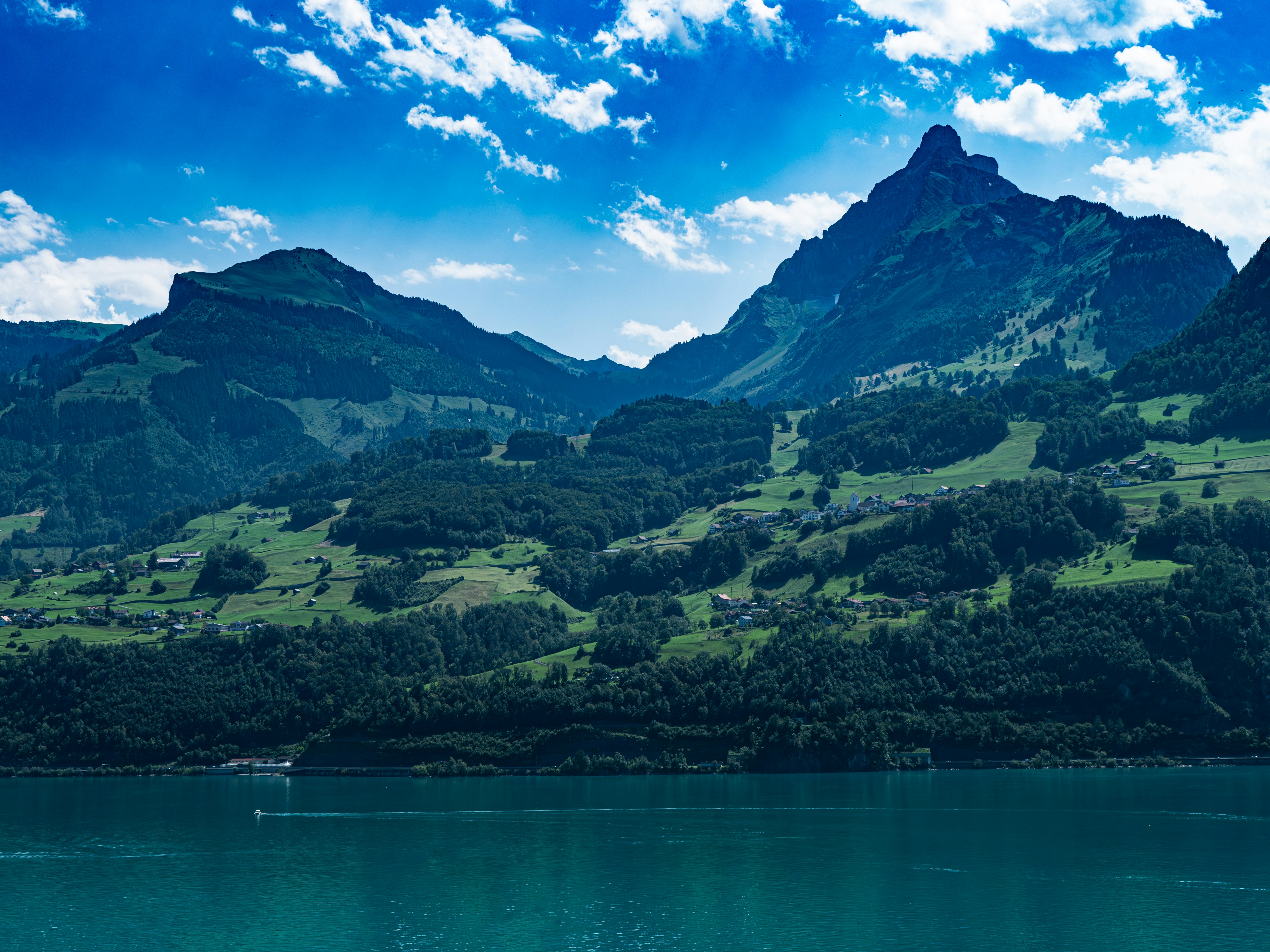 Photo by poli_graphy