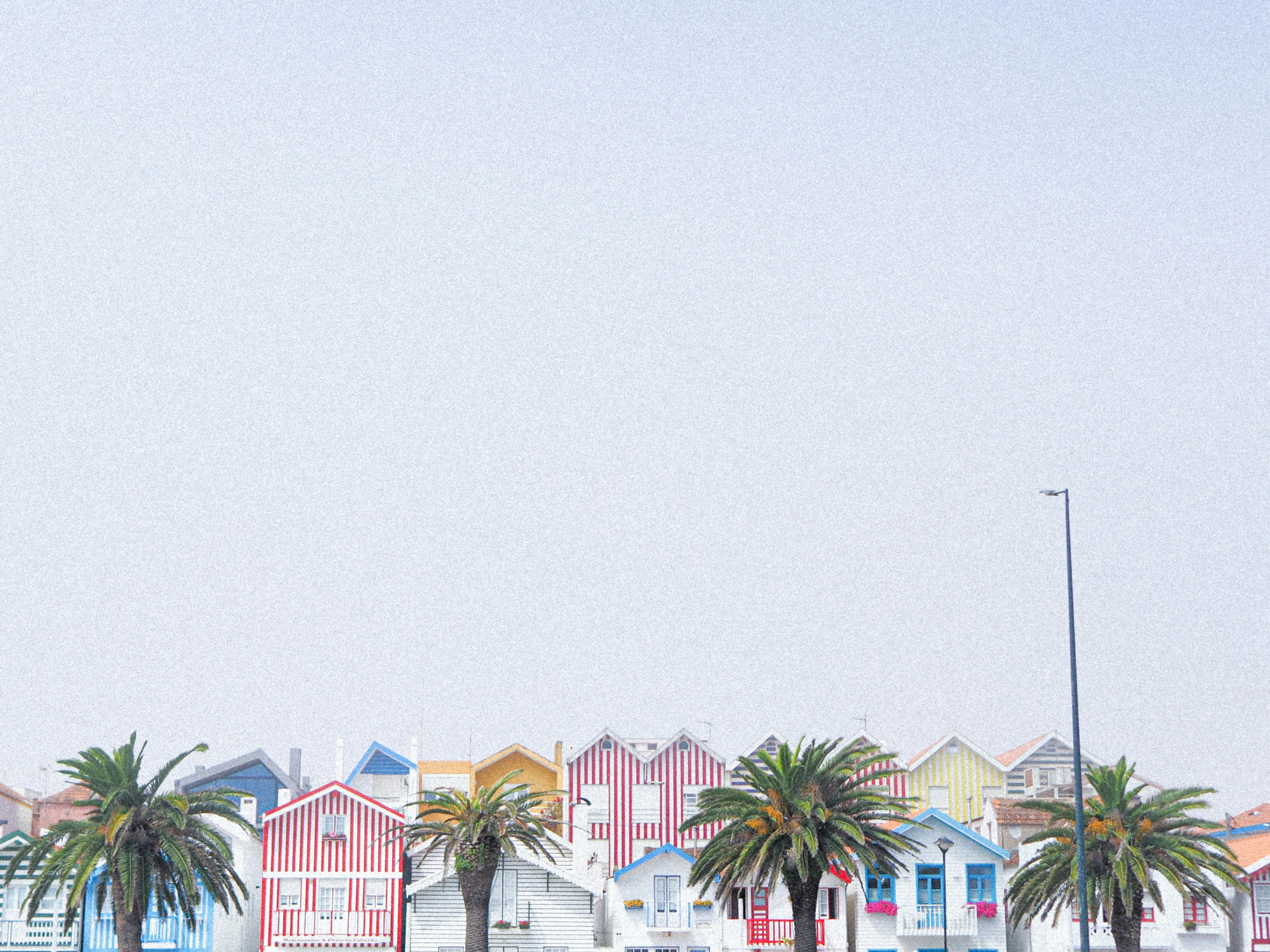 A row of houses with palm trees in front of them photo – Free Aveiro ...