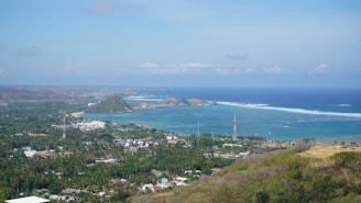 A view of the ocean from a hill