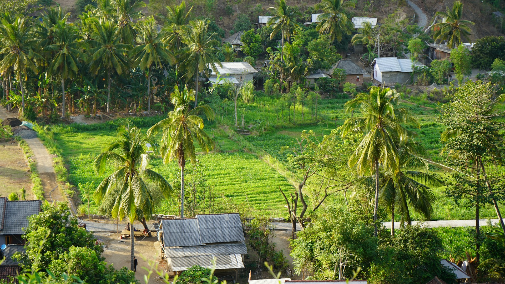 A view of a village from a hill