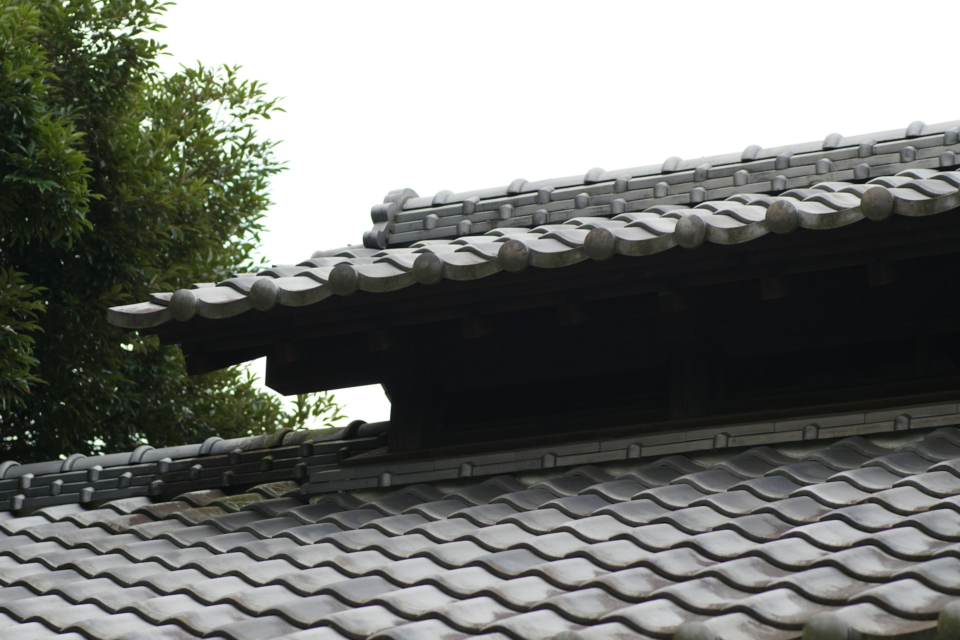 The roof of a building with a tree in the background