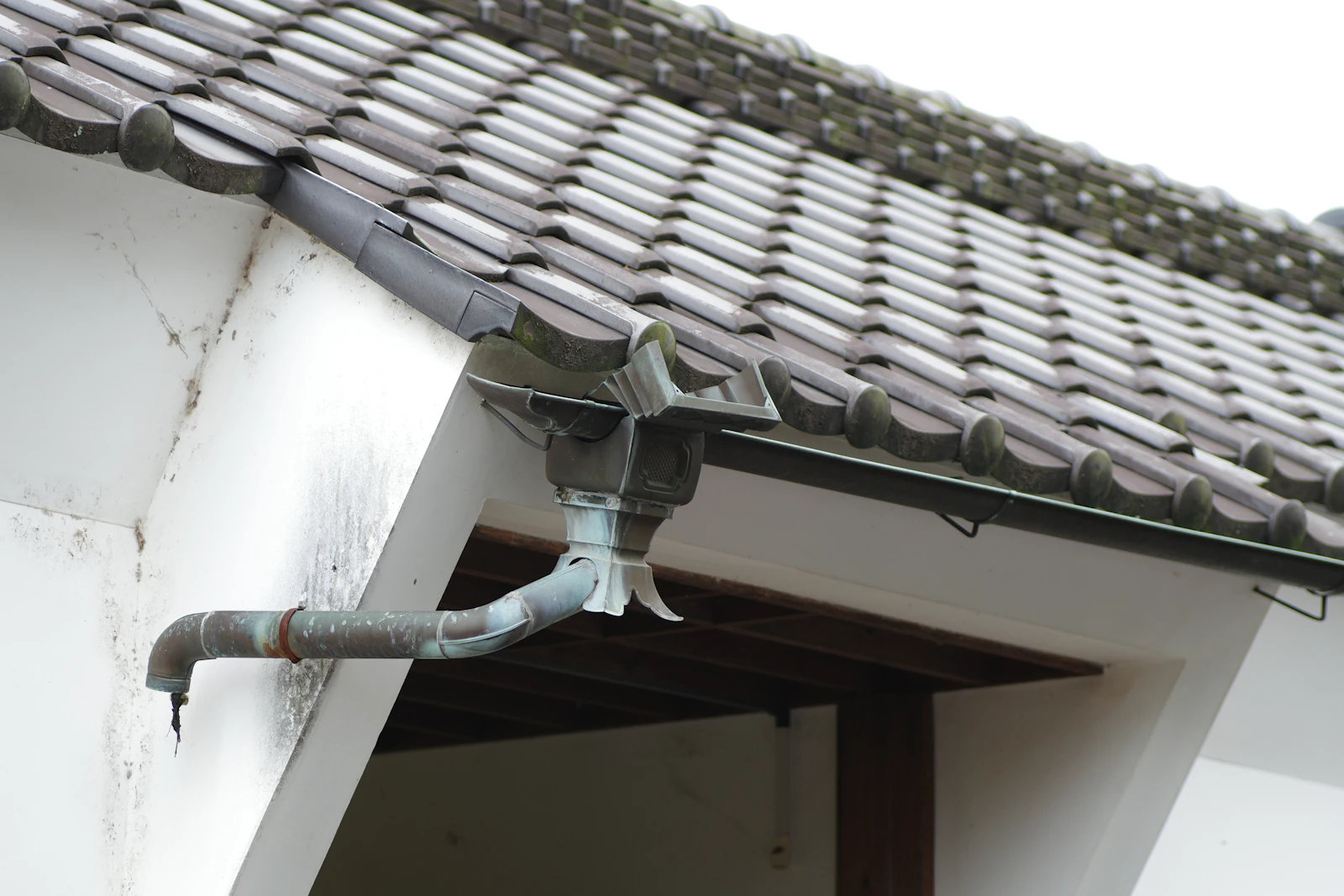 Roof edge with a gutter and downspout pipe