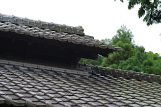A close up of a roof with a tree in the background