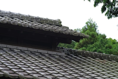 A close up of a roof with a tree in the background