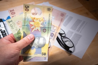 A person holding a bunch of money in their hand