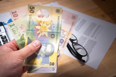 A person holding a bunch of money in their hand