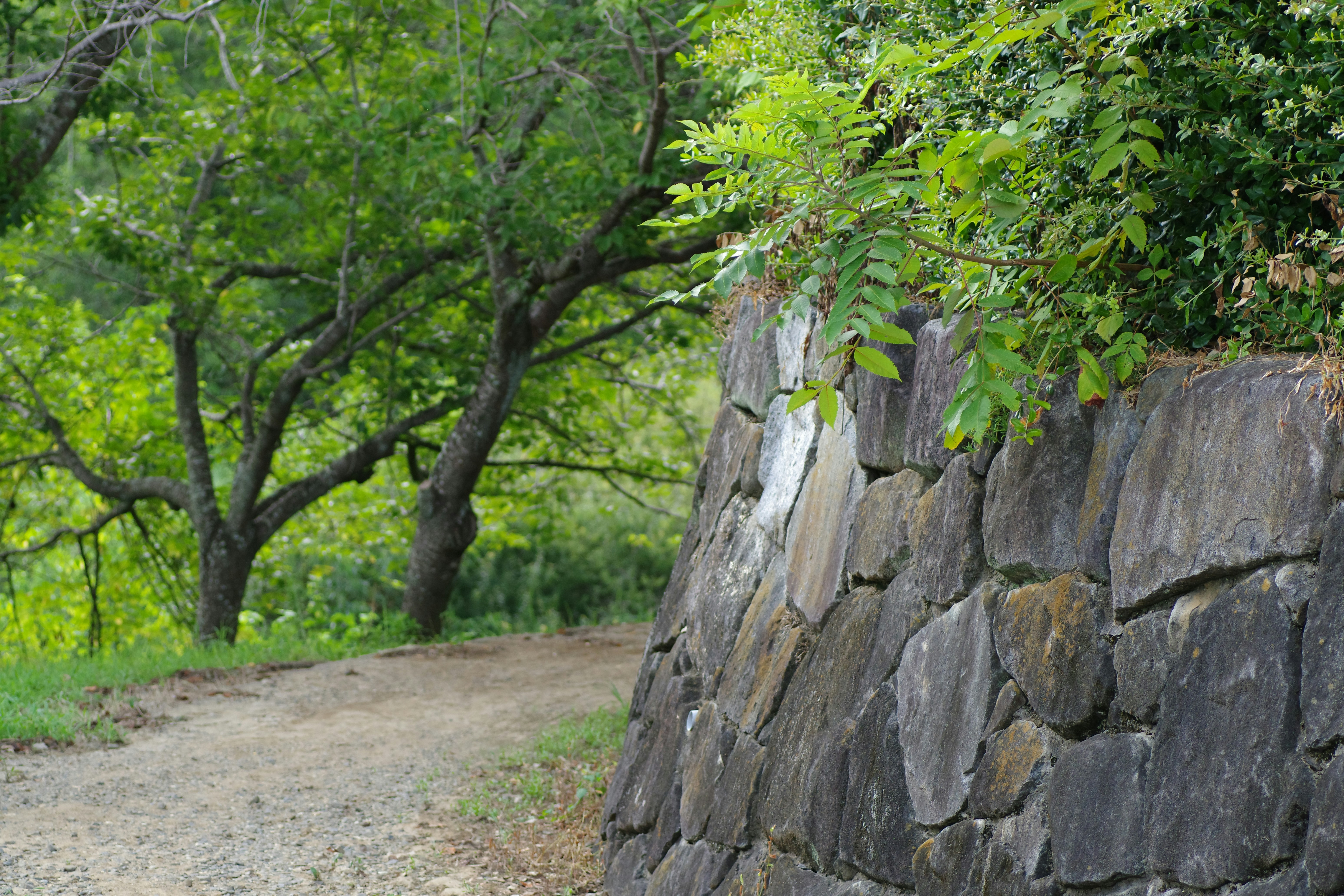 Photo by naopp