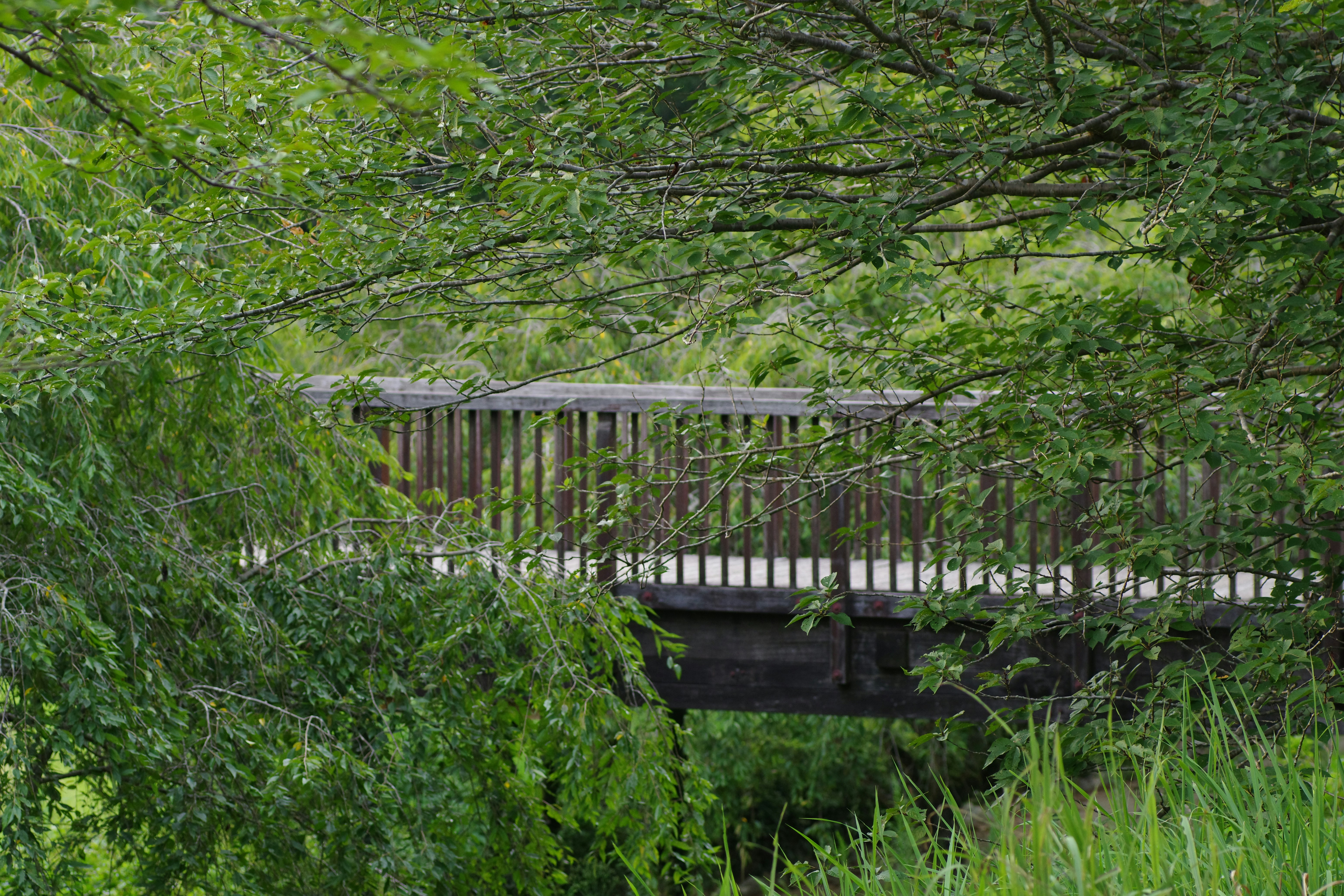 震驚！90%的人都不知道的居家清潔真相，看完三觀全毀！