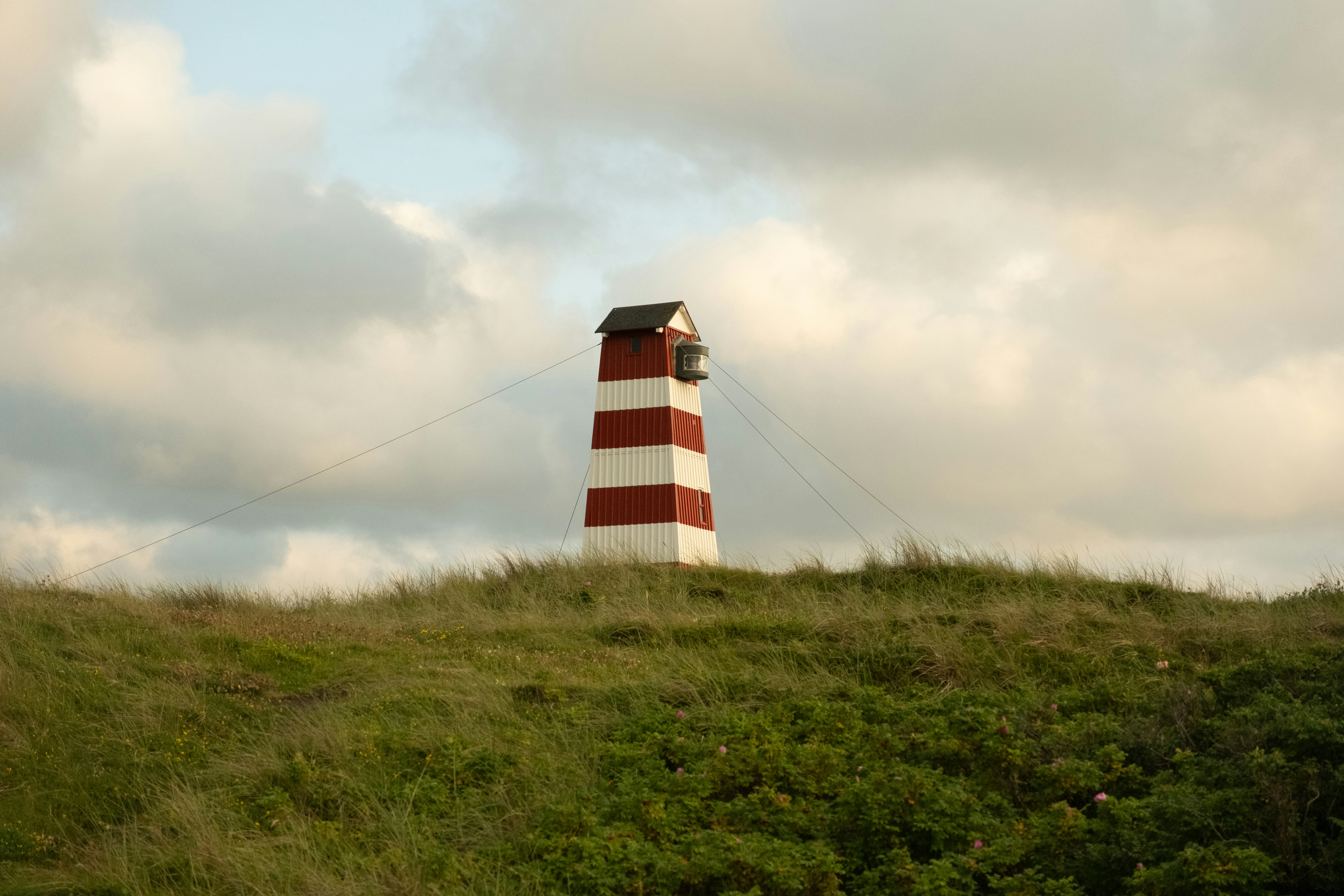 Photo by danieljschwarz