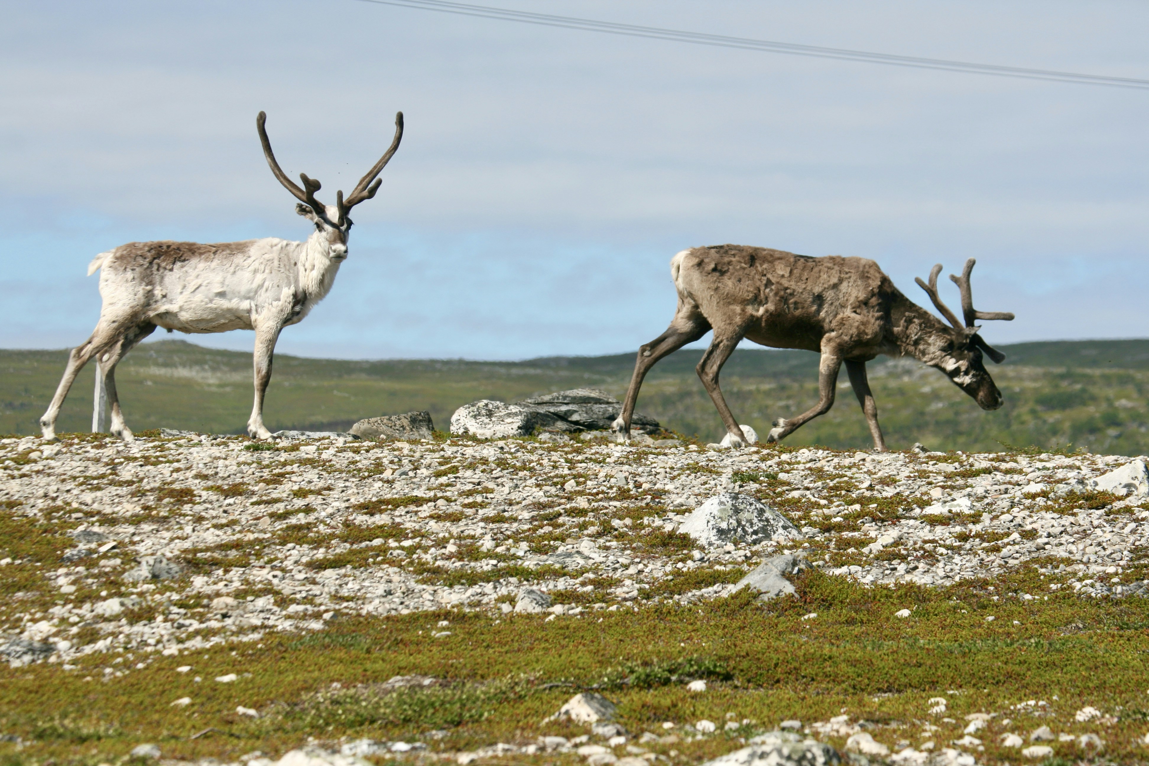 Photo by hit_the_road