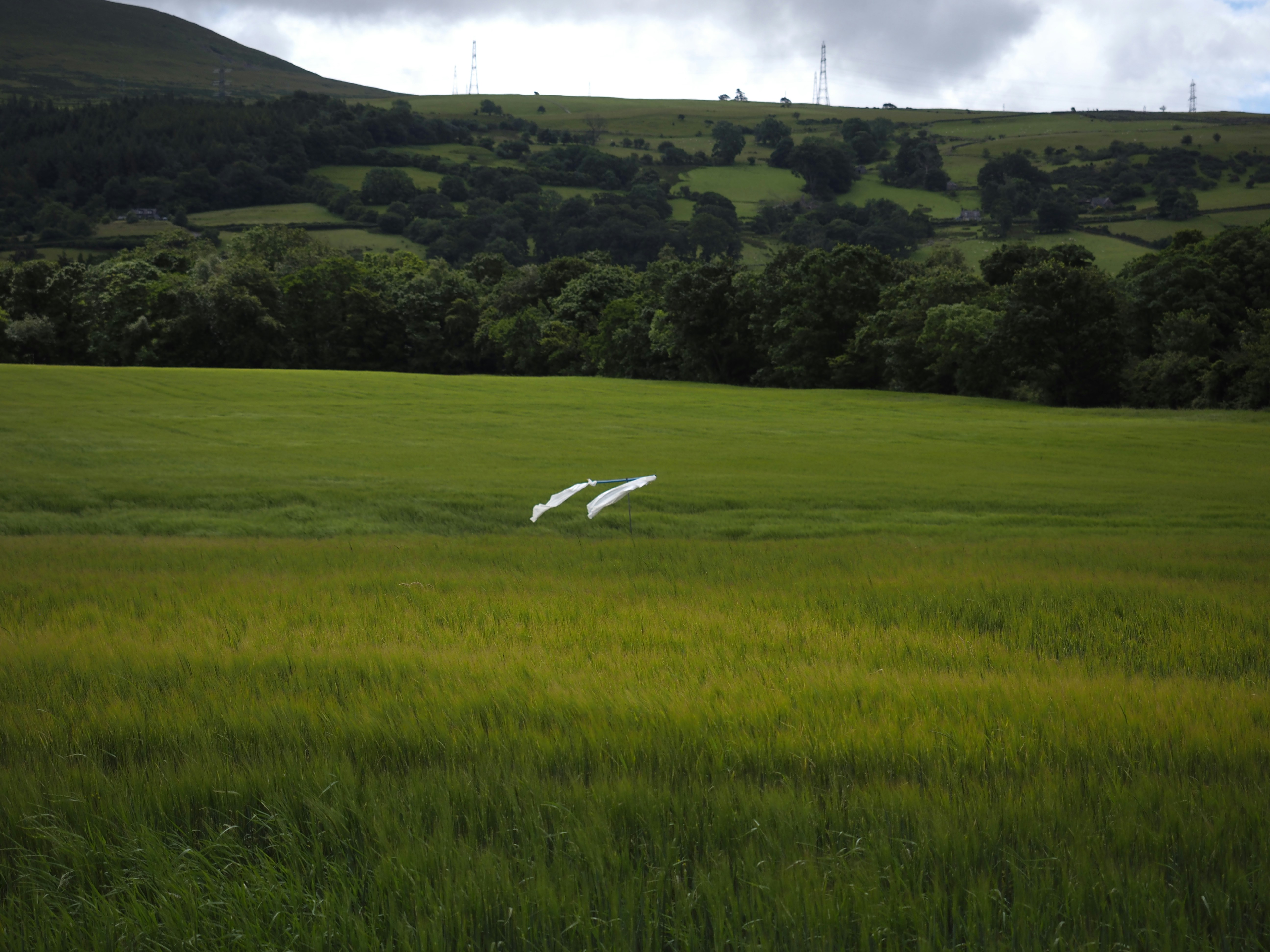 Segelflugzeug über Gammelsdorf beim Start