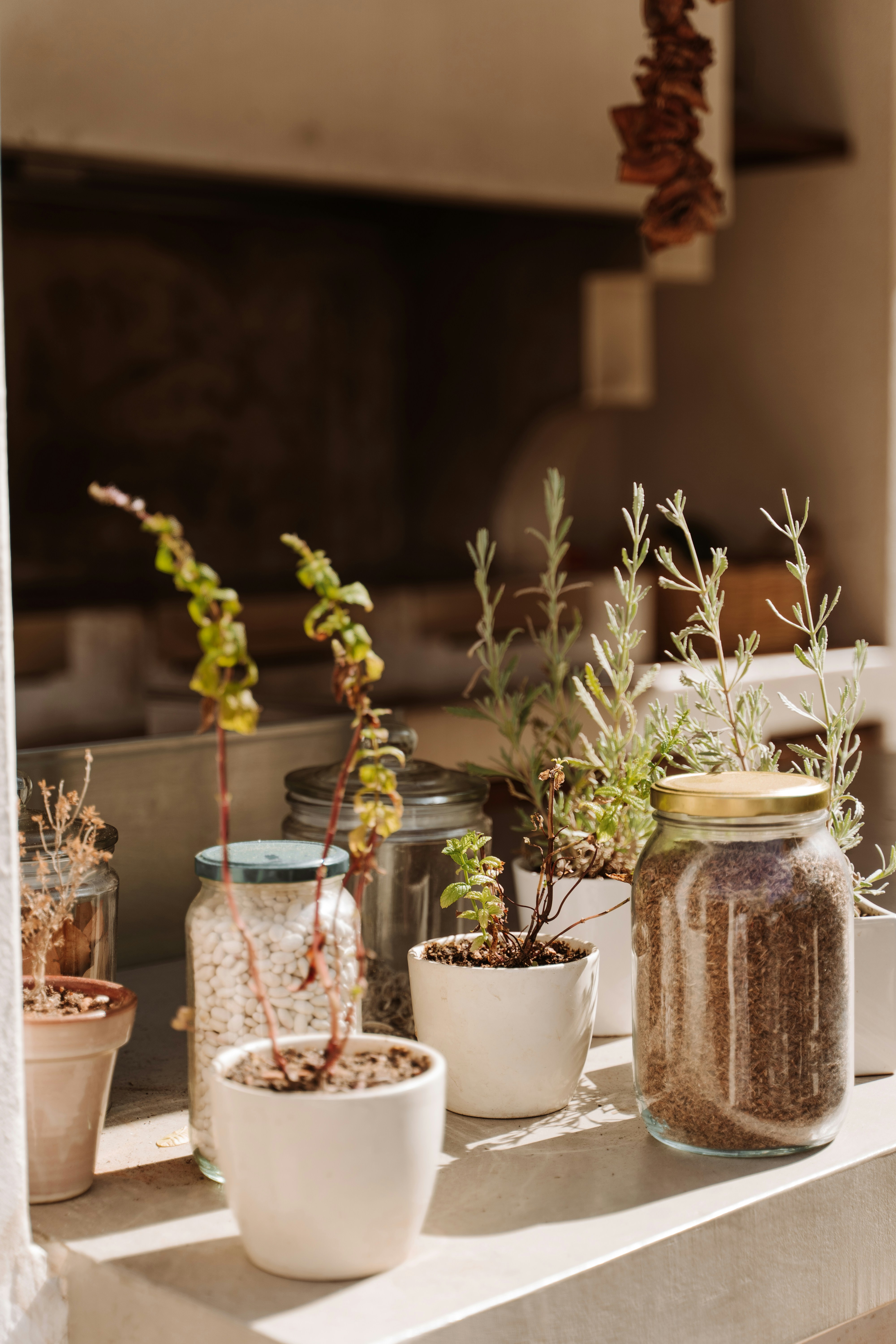 Photo by olimpiaborodiunsplash